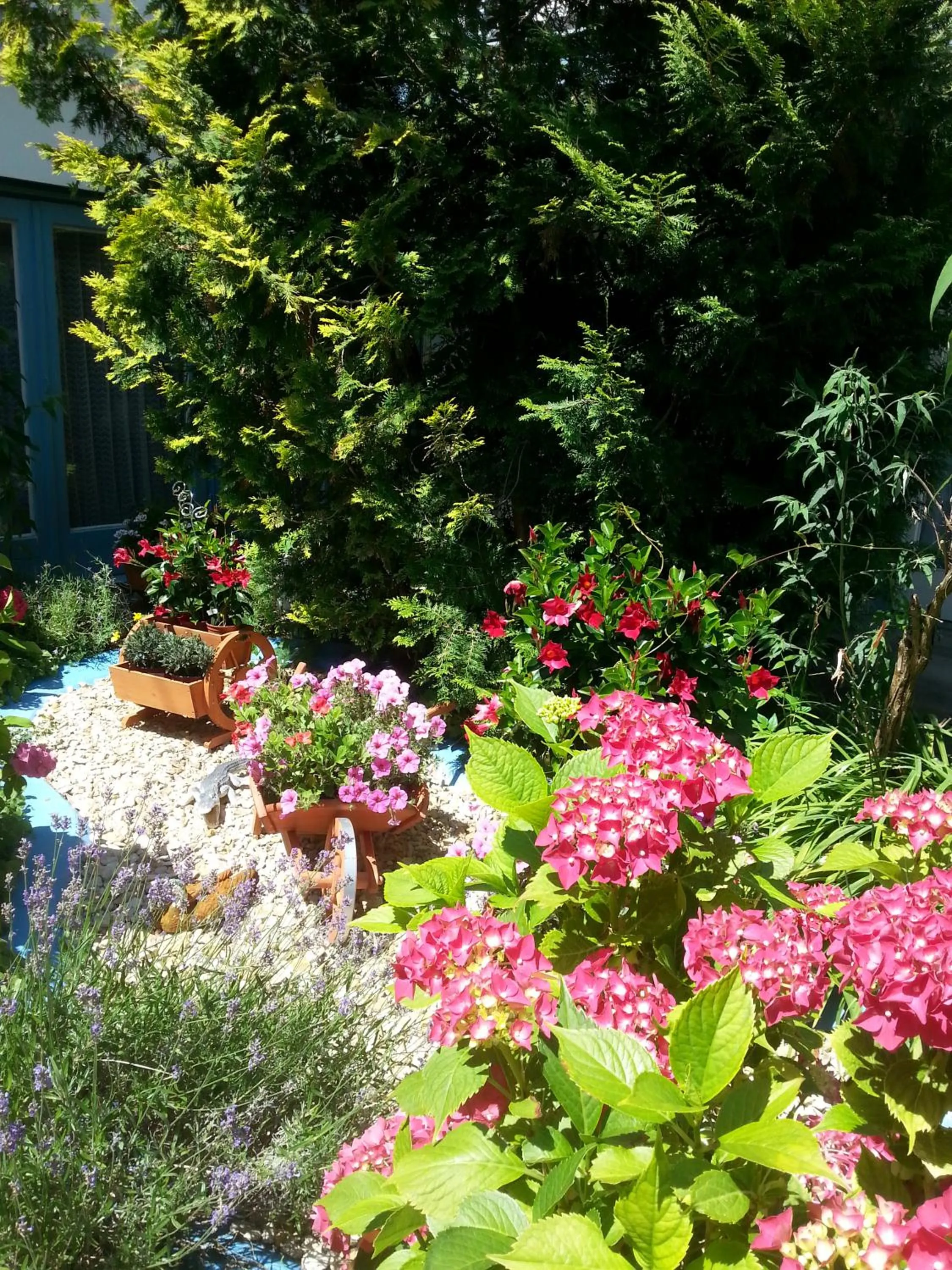 Day in Hotel Park Eden