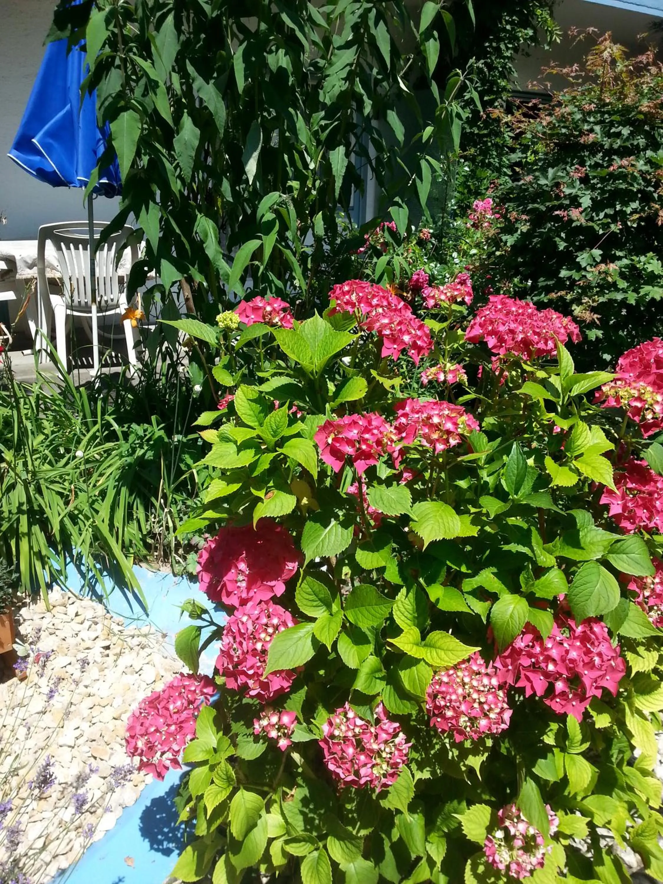 Day in Hotel Park Eden