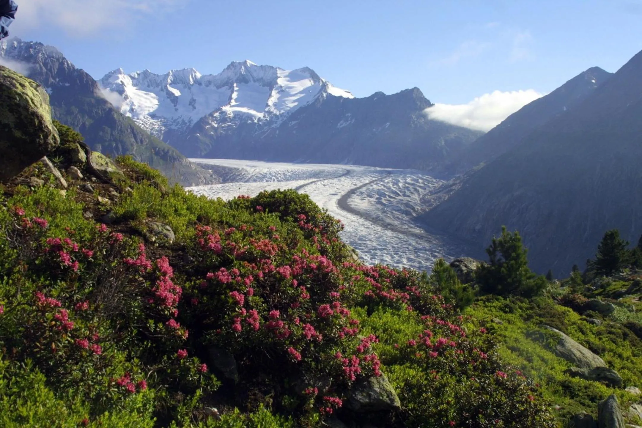 Natural landscape in Hotel Le Postillion
