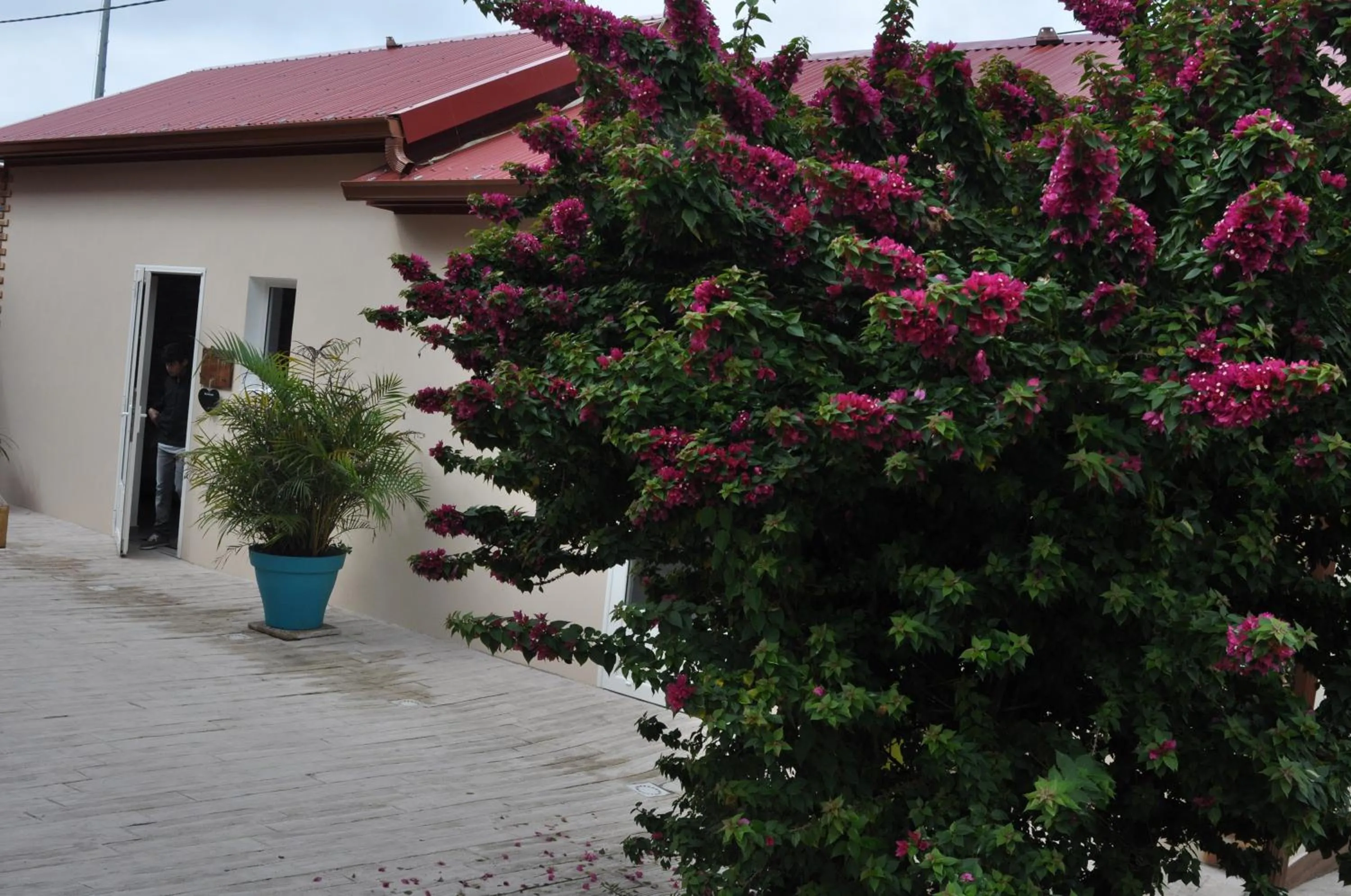 Garden in La Croisee des Sentiers