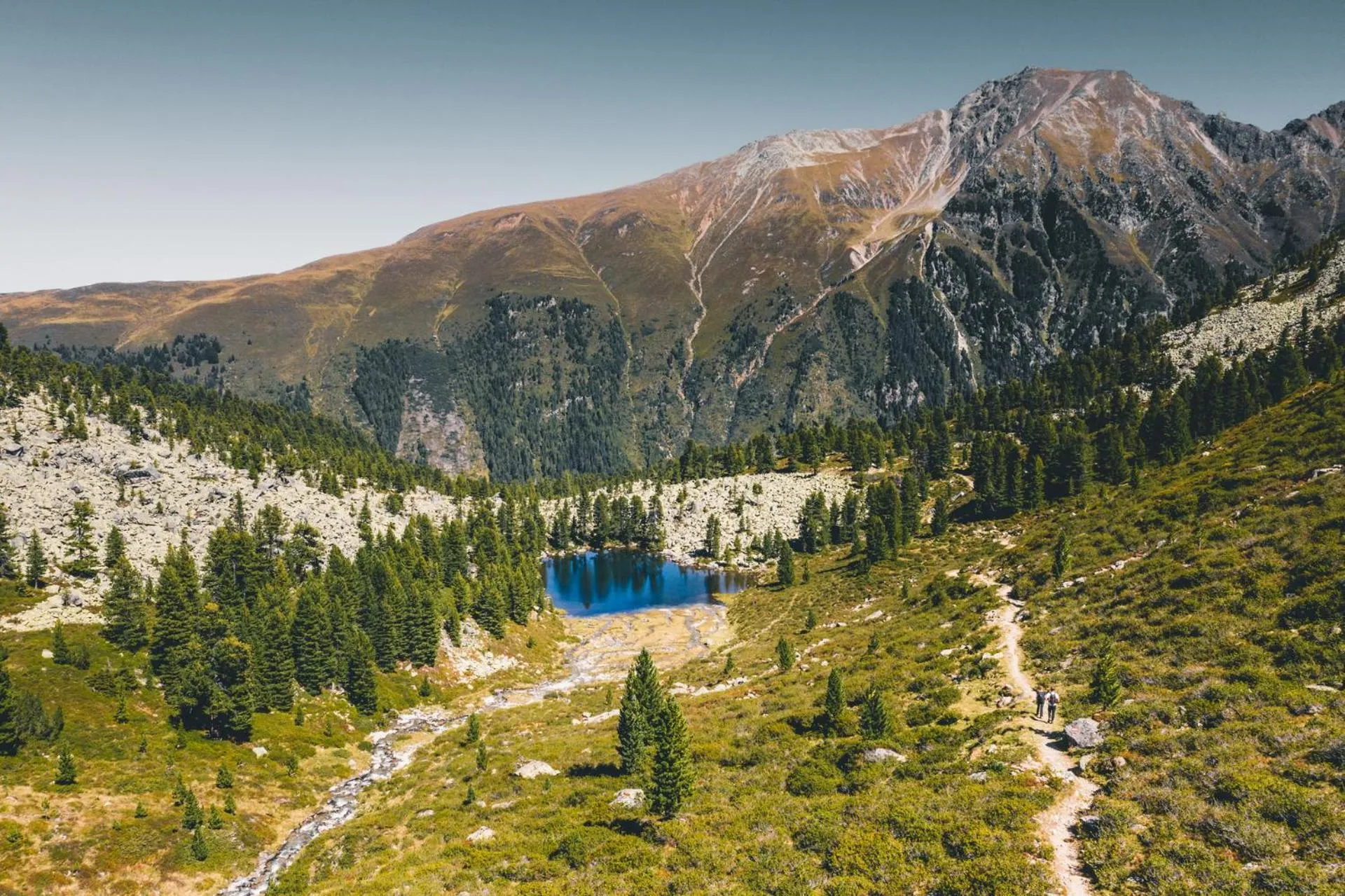 Natural landscape in Das Schlössl
