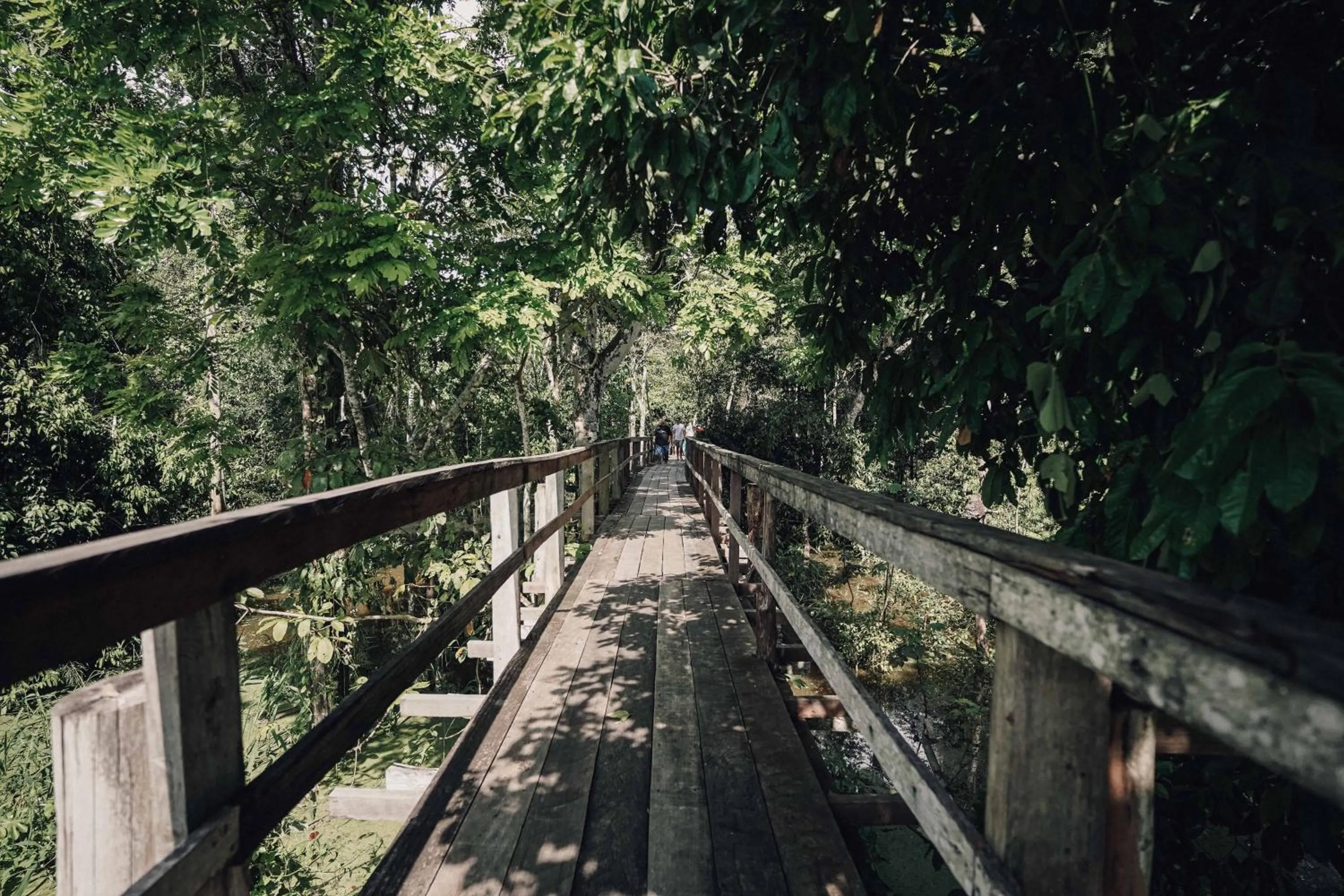 Natural landscape in Uiara Amazon Resort