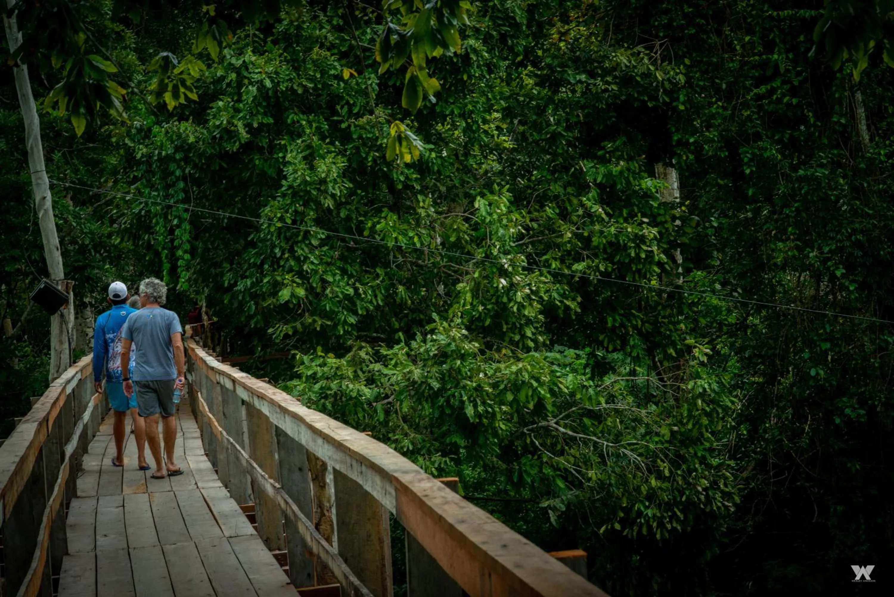 Natural landscape in Uiara Amazon Resort
