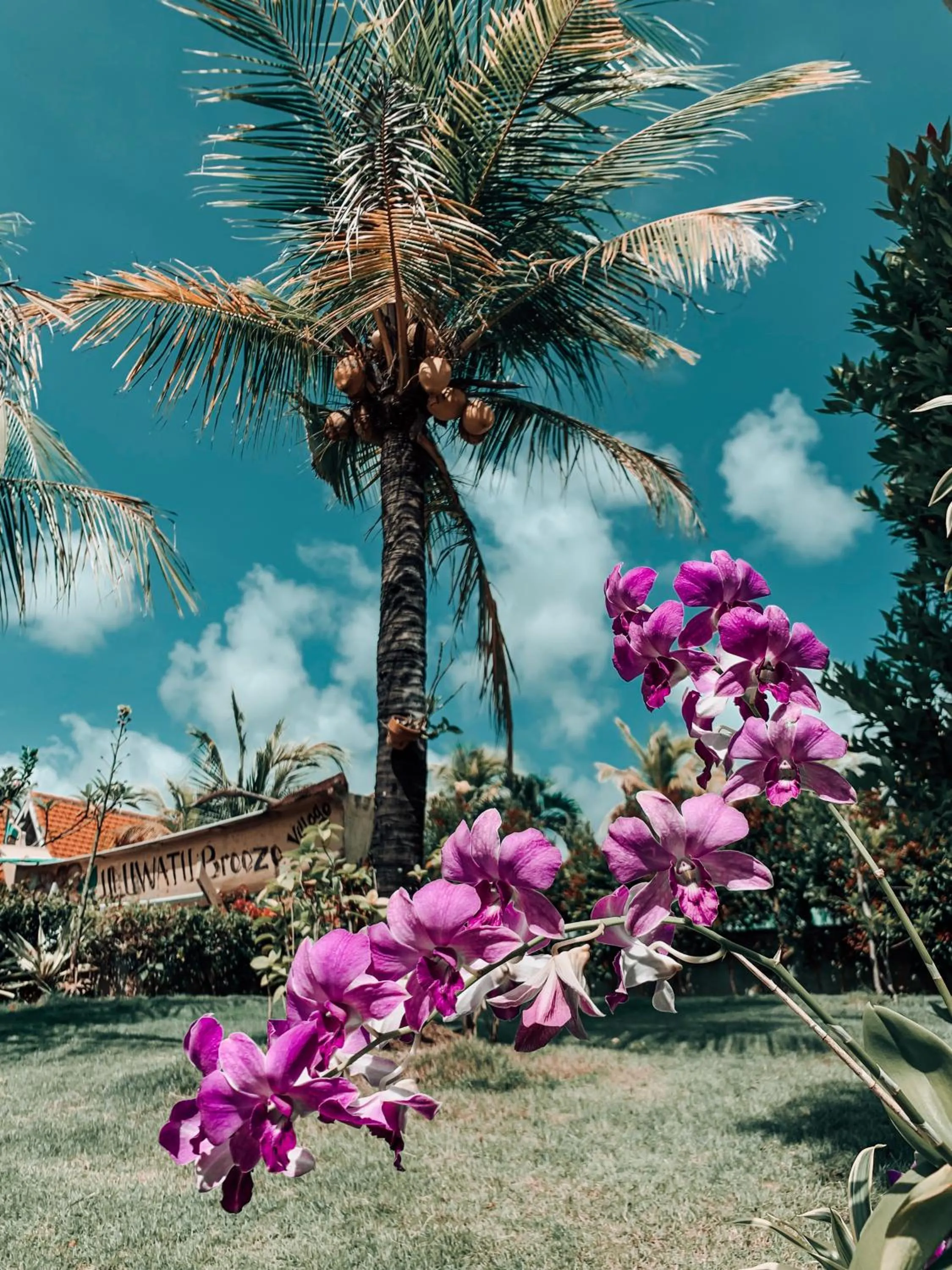 Uluwatu Breeze Village