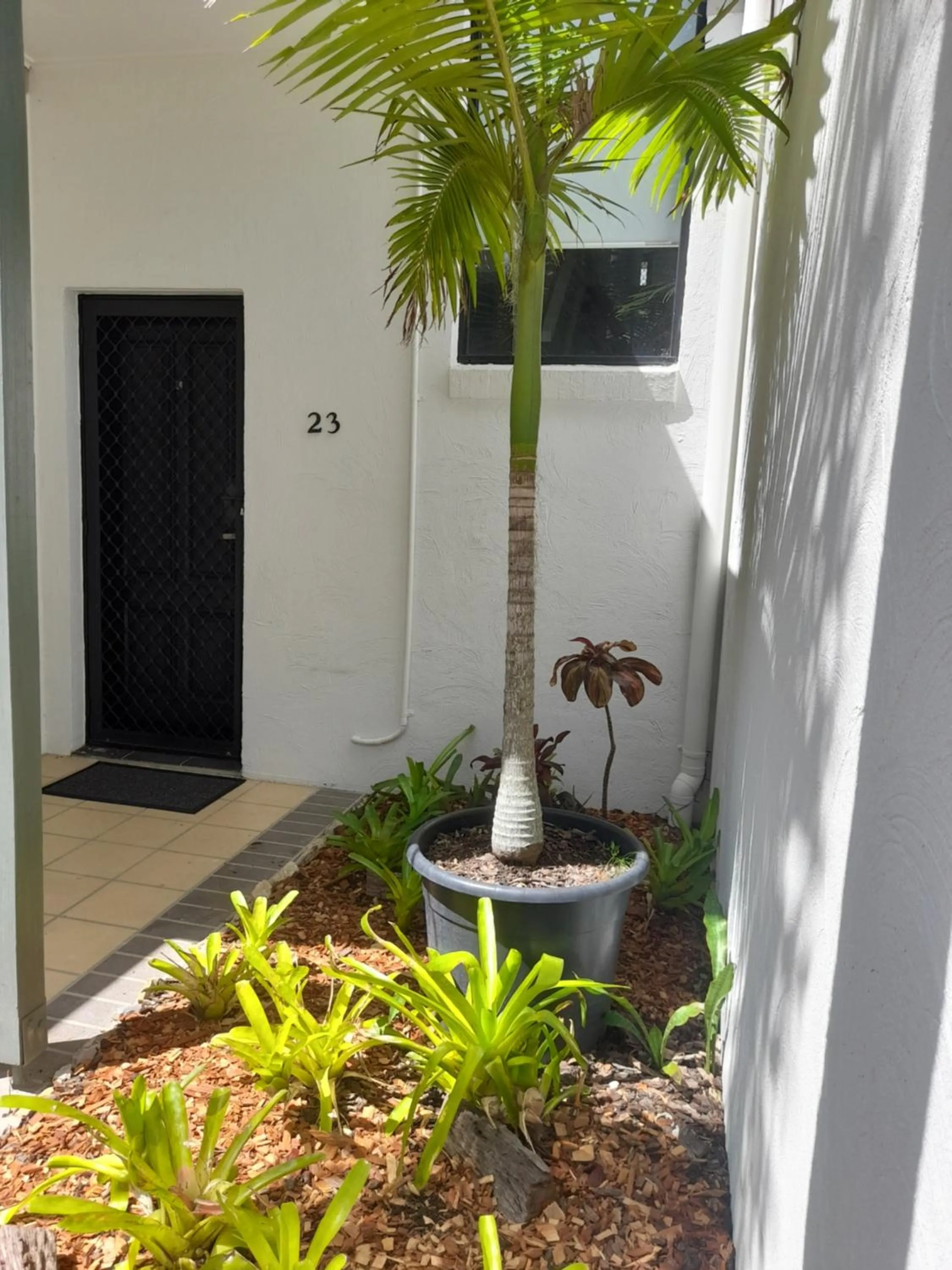 Garden in Boat Harbour Studio Apartments and Villas