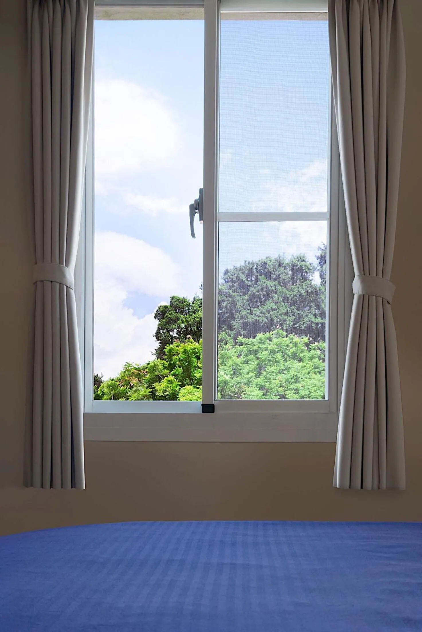 Bed in Mutter Apartment