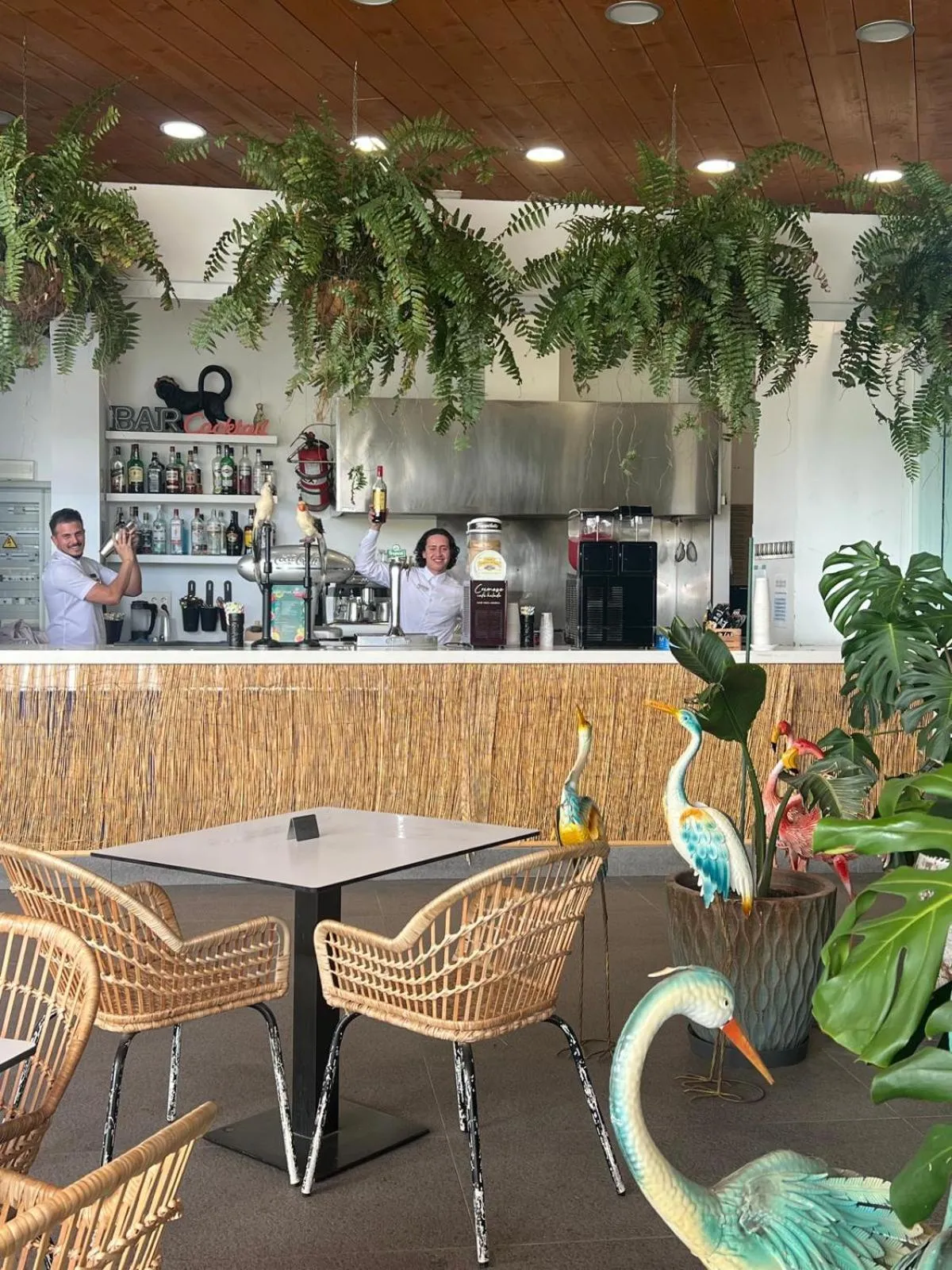 Swimming pool in Hyde Park Lane