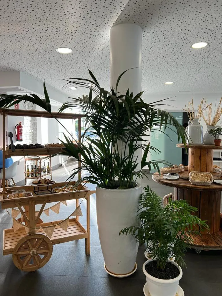 Restaurant/places to eat in Hyde Park Lane