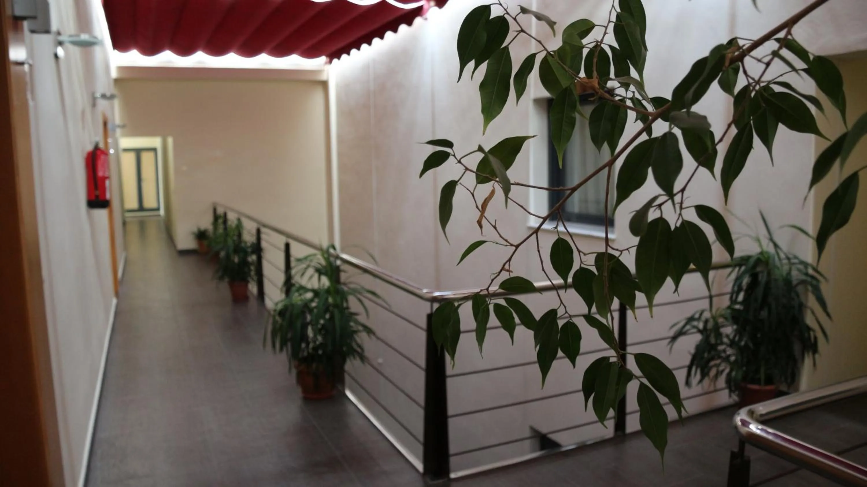 Decorative detail in Hotel Macami