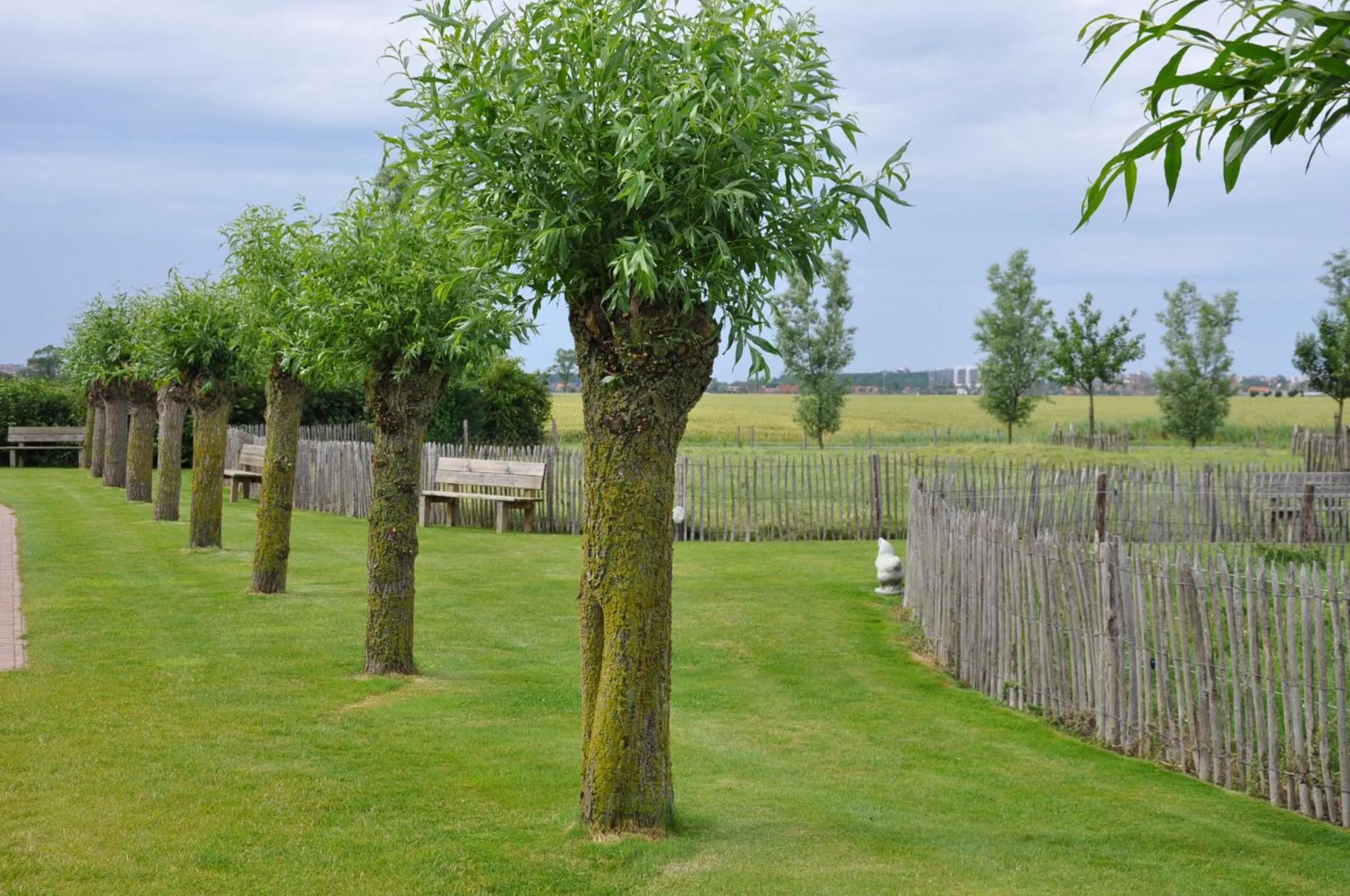 Garden in B&B Knotwilgenhoeve