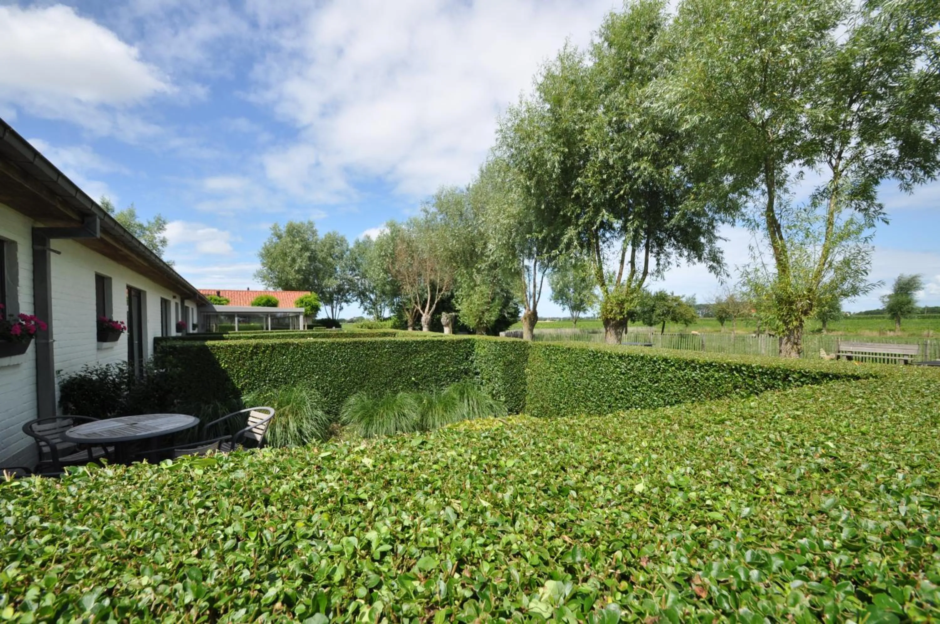 Balcony/Terrace in B&B Knotwilgenhoeve