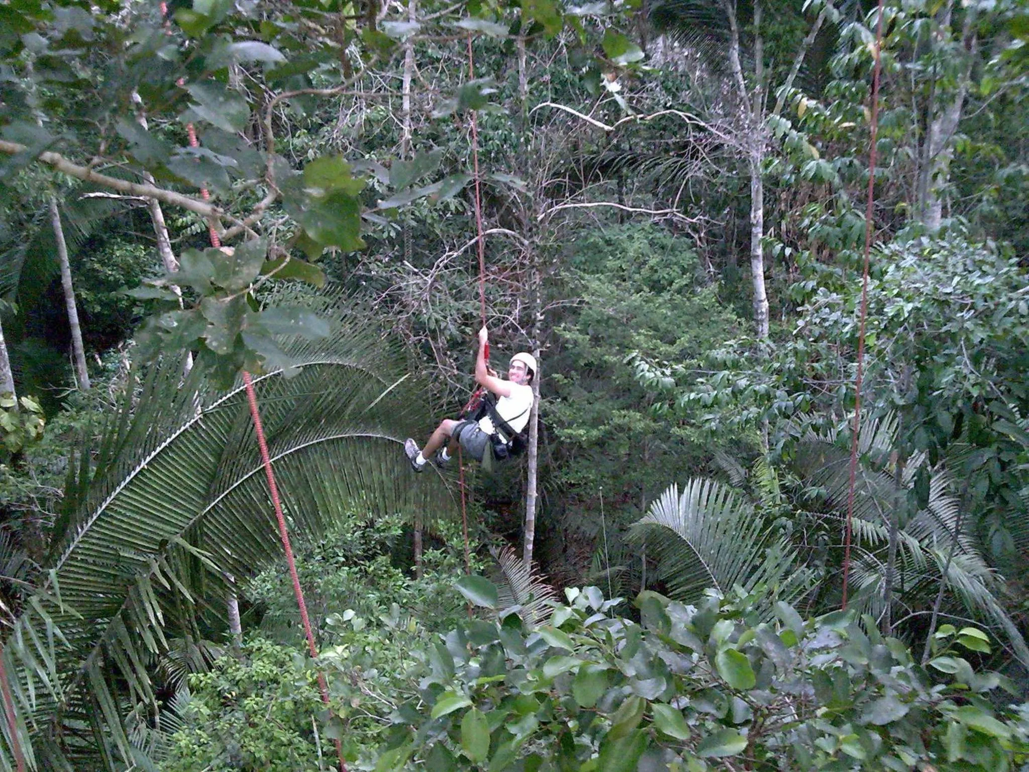 Natural landscape in Juma Amazon Lodge