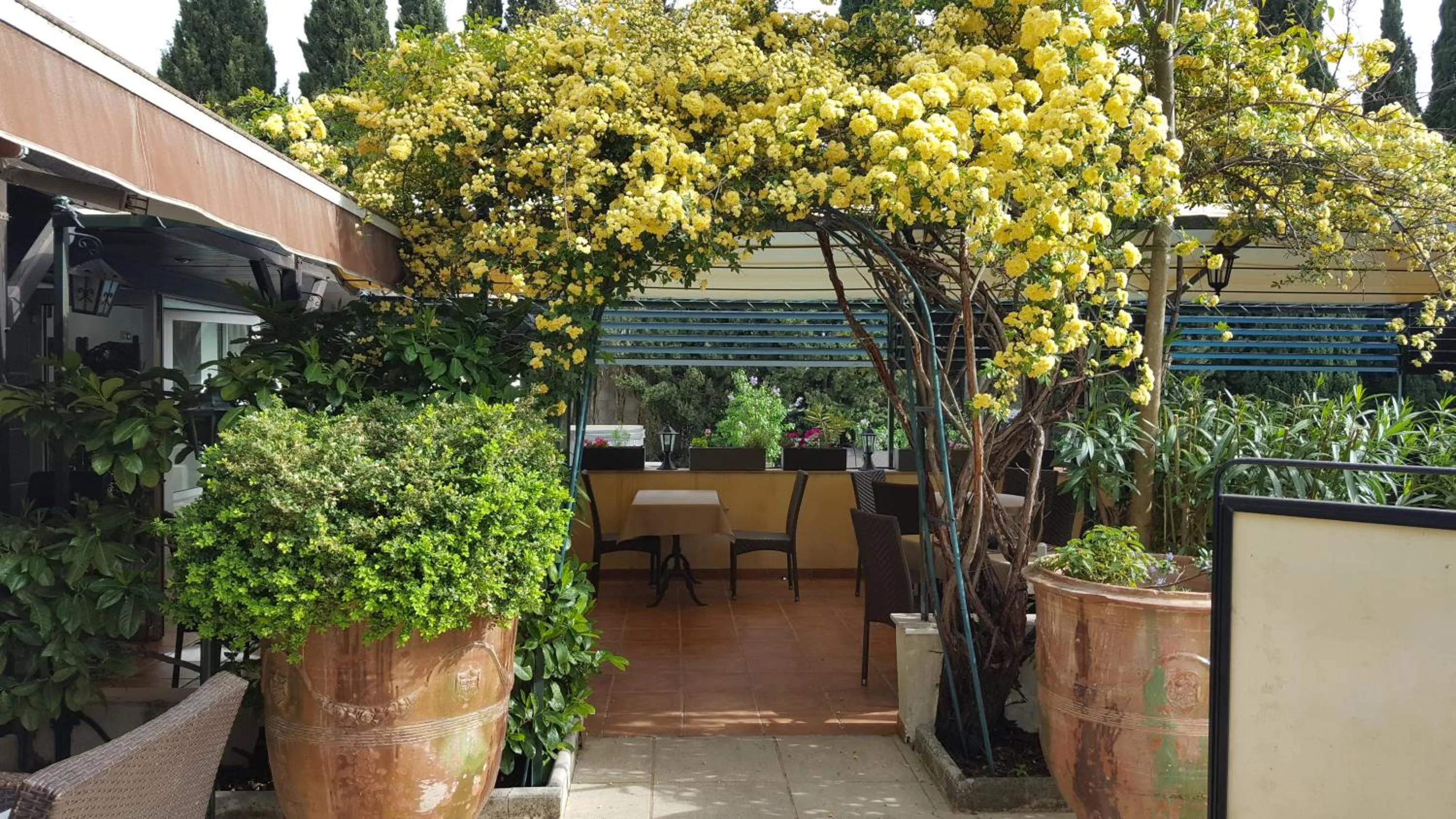 Patio in Logis Hôtel - Restaurant Résidence Les Cèdres