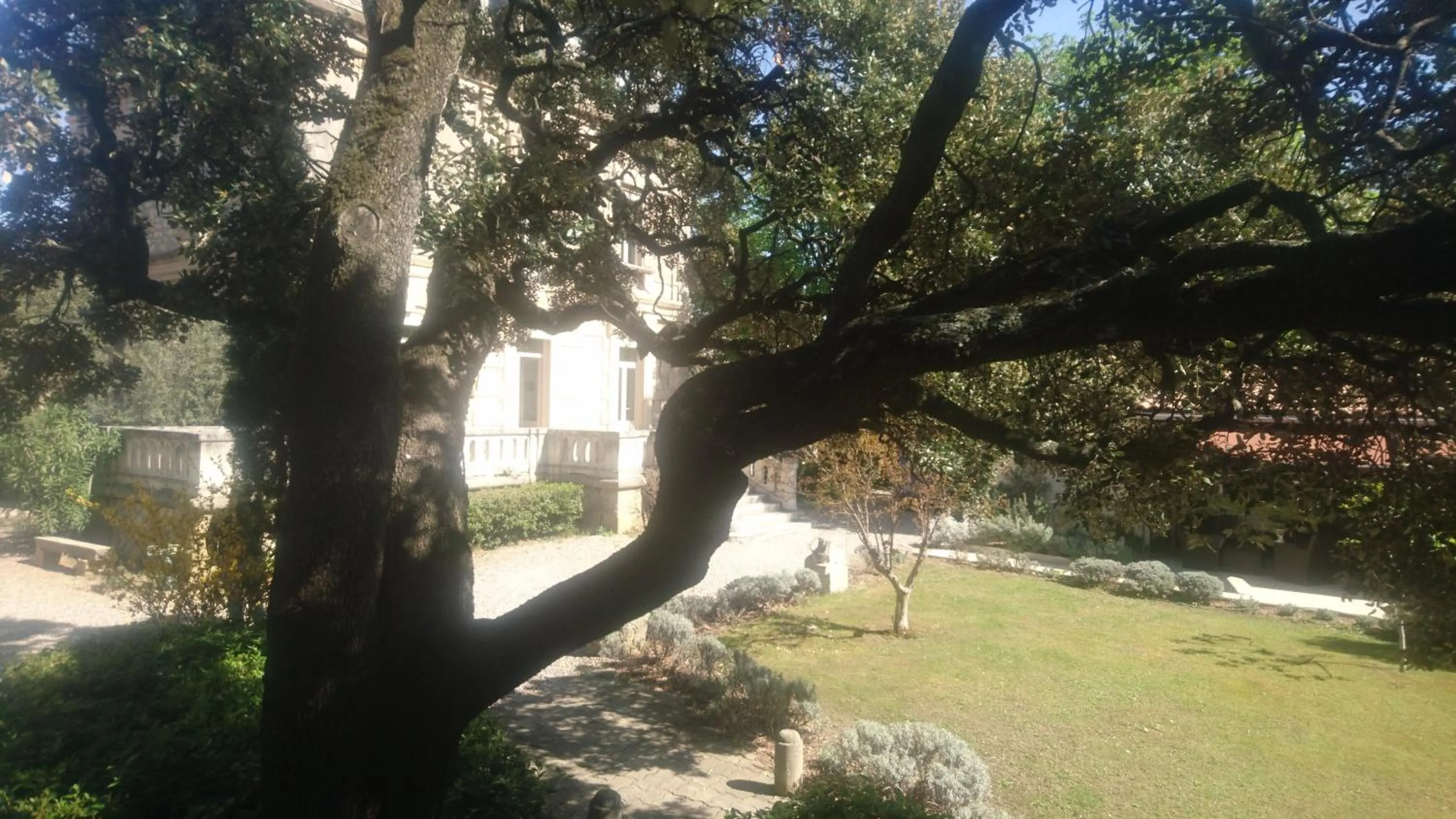Garden view in Logis Hôtel - Restaurant Résidence Les Cèdres