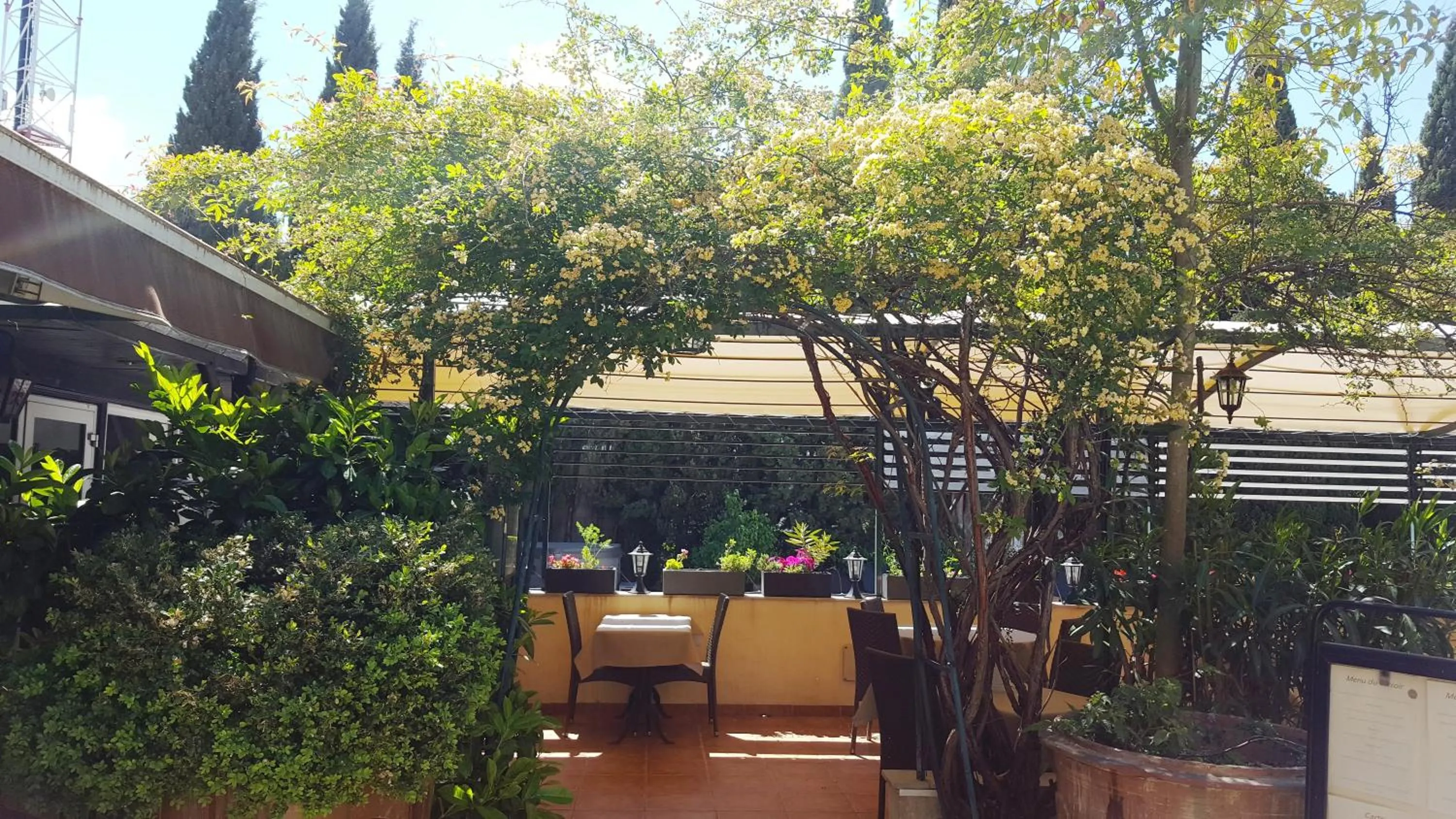 Garden in Logis Hôtel - Restaurant Résidence Les Cèdres