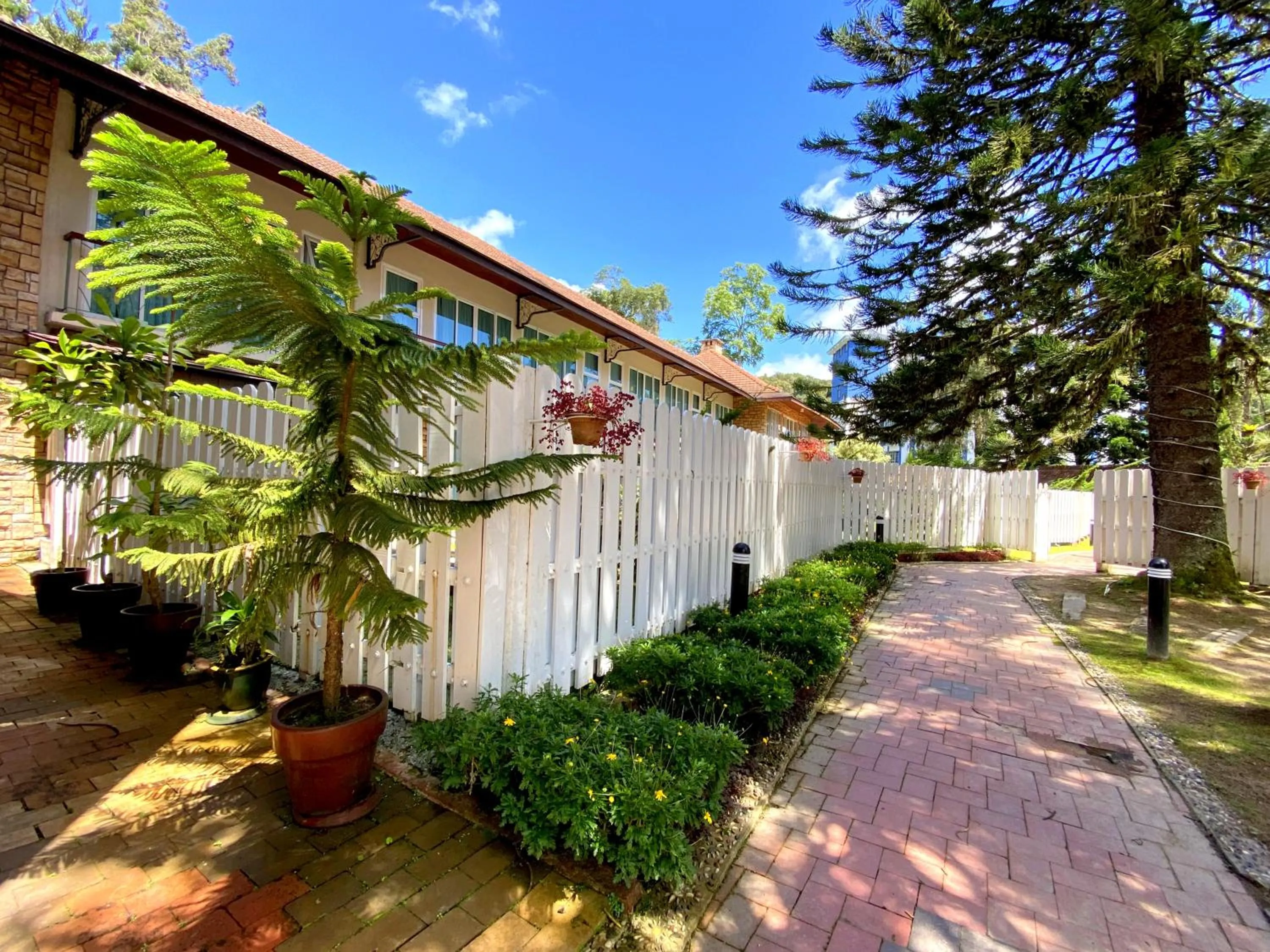 Property building in Century Pines Resort Cameron Highlands