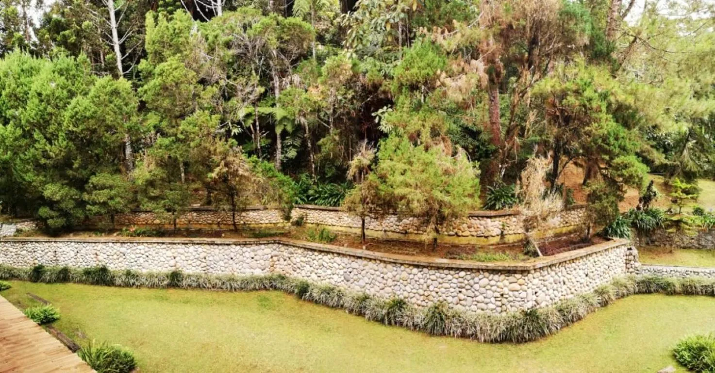 Century Pines Resort Cameron Highlands