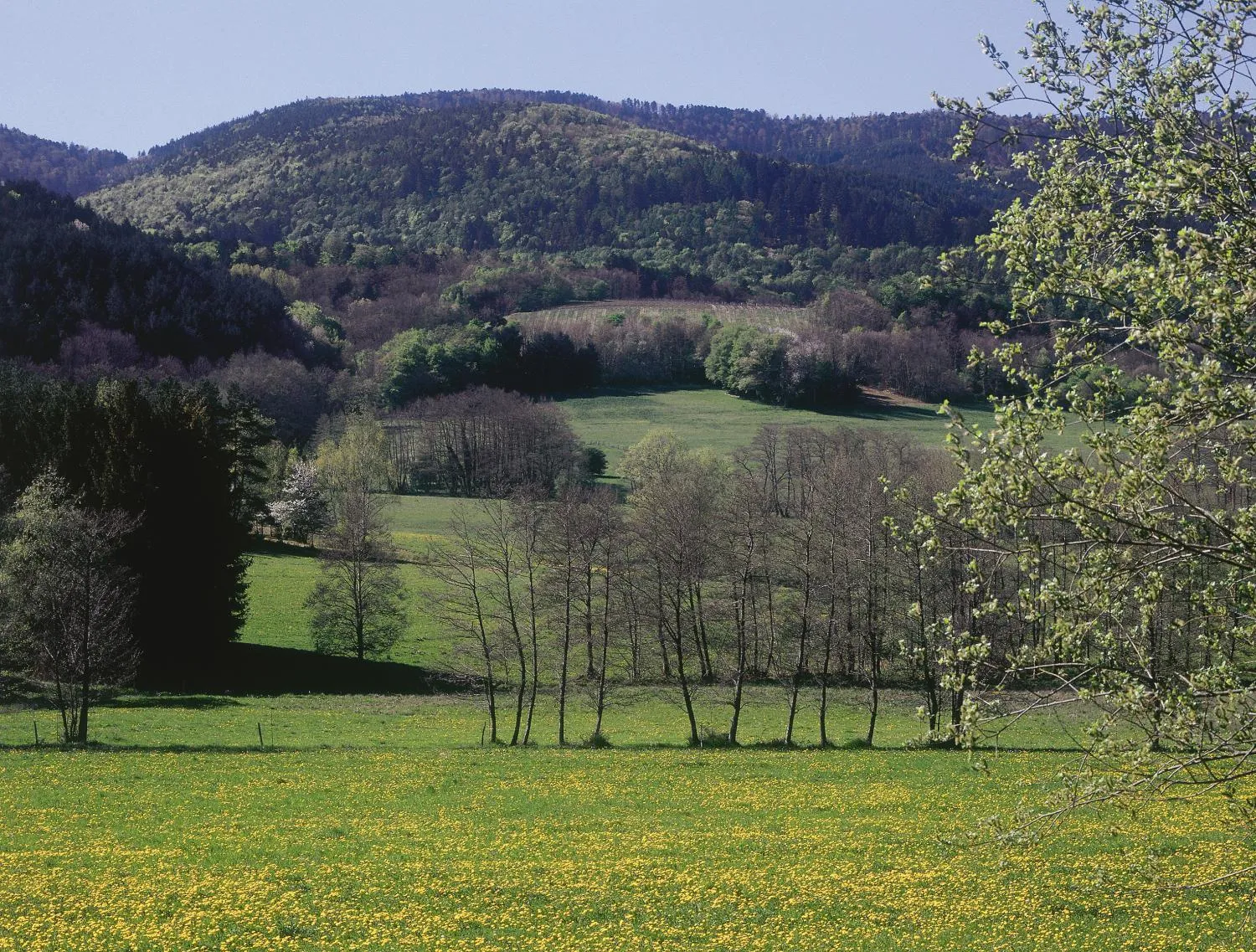 Area and facilities in Hôtel Restaurant La Vallée Noble, proche Eguisheim Colmar