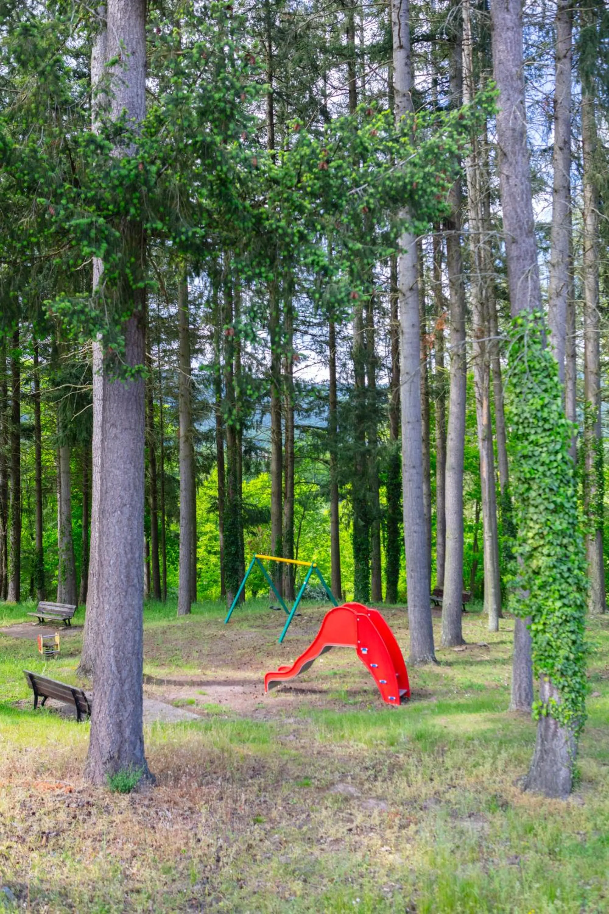 Garden in Hôtel Restaurant La Vallée Noble, proche Eguisheim Colmar