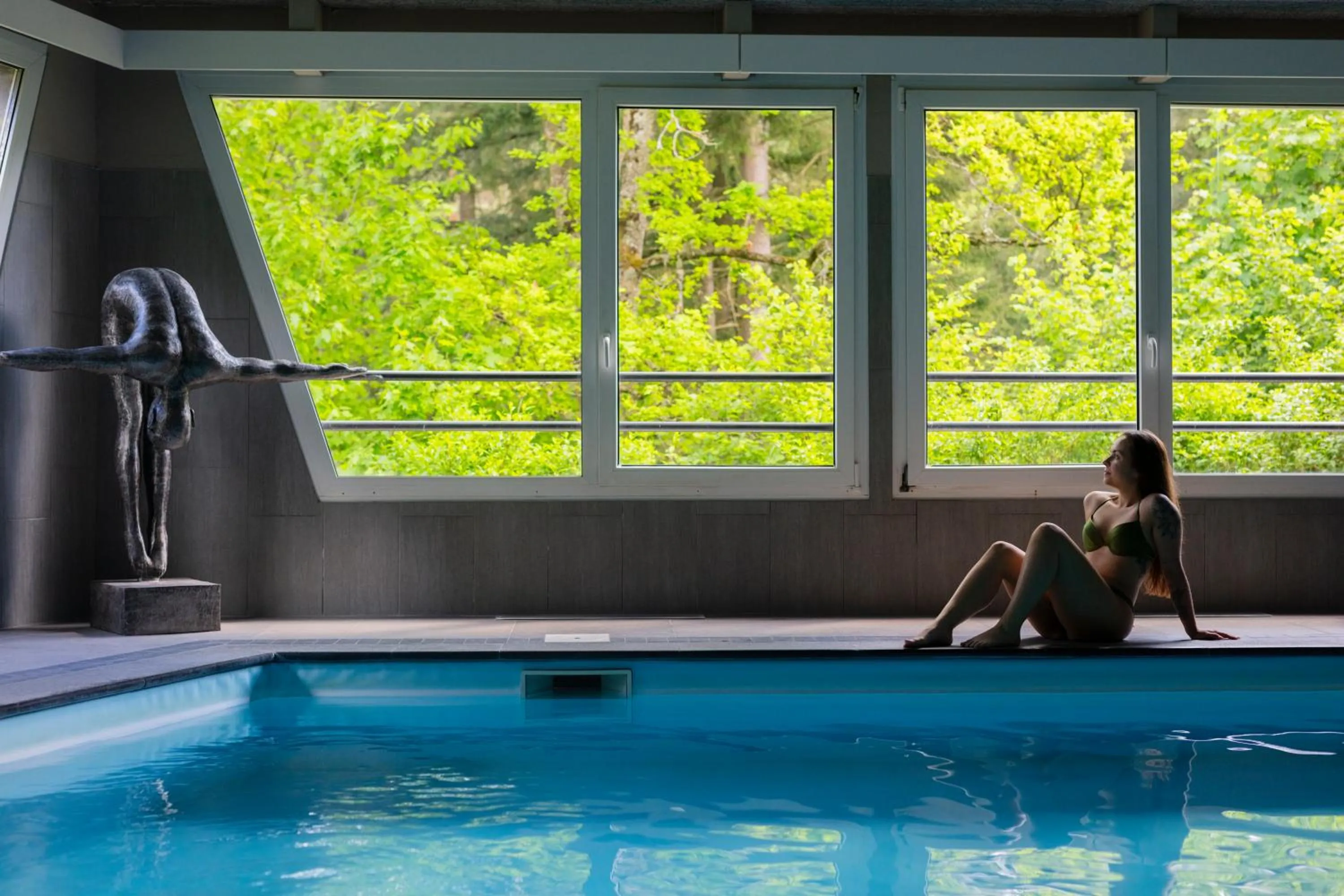 Pool view in Hôtel Restaurant La Vallée Noble, proche Eguisheim Colmar