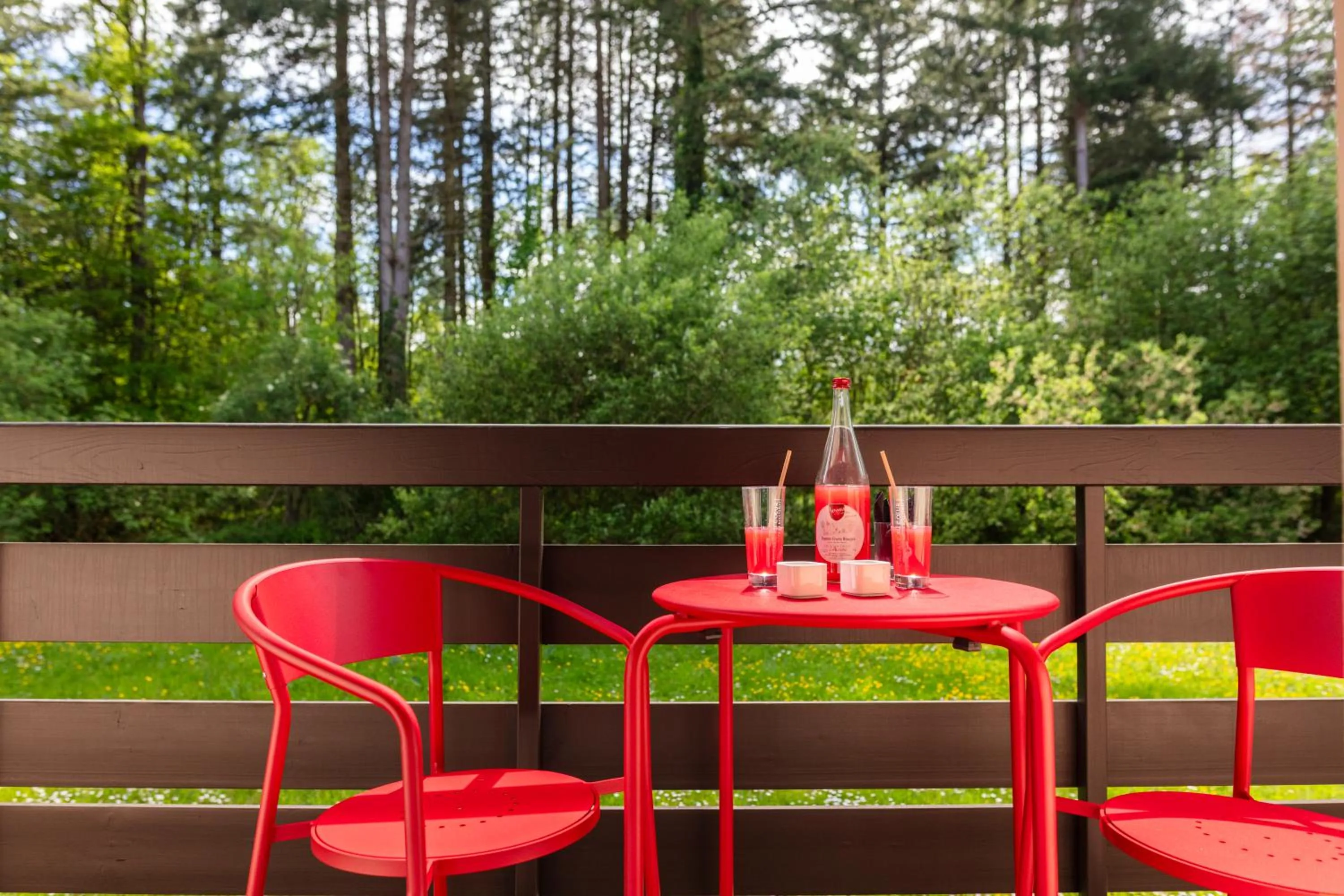 Balcony/Terrace in Hôtel Restaurant La Vallée Noble, proche Eguisheim Colmar
