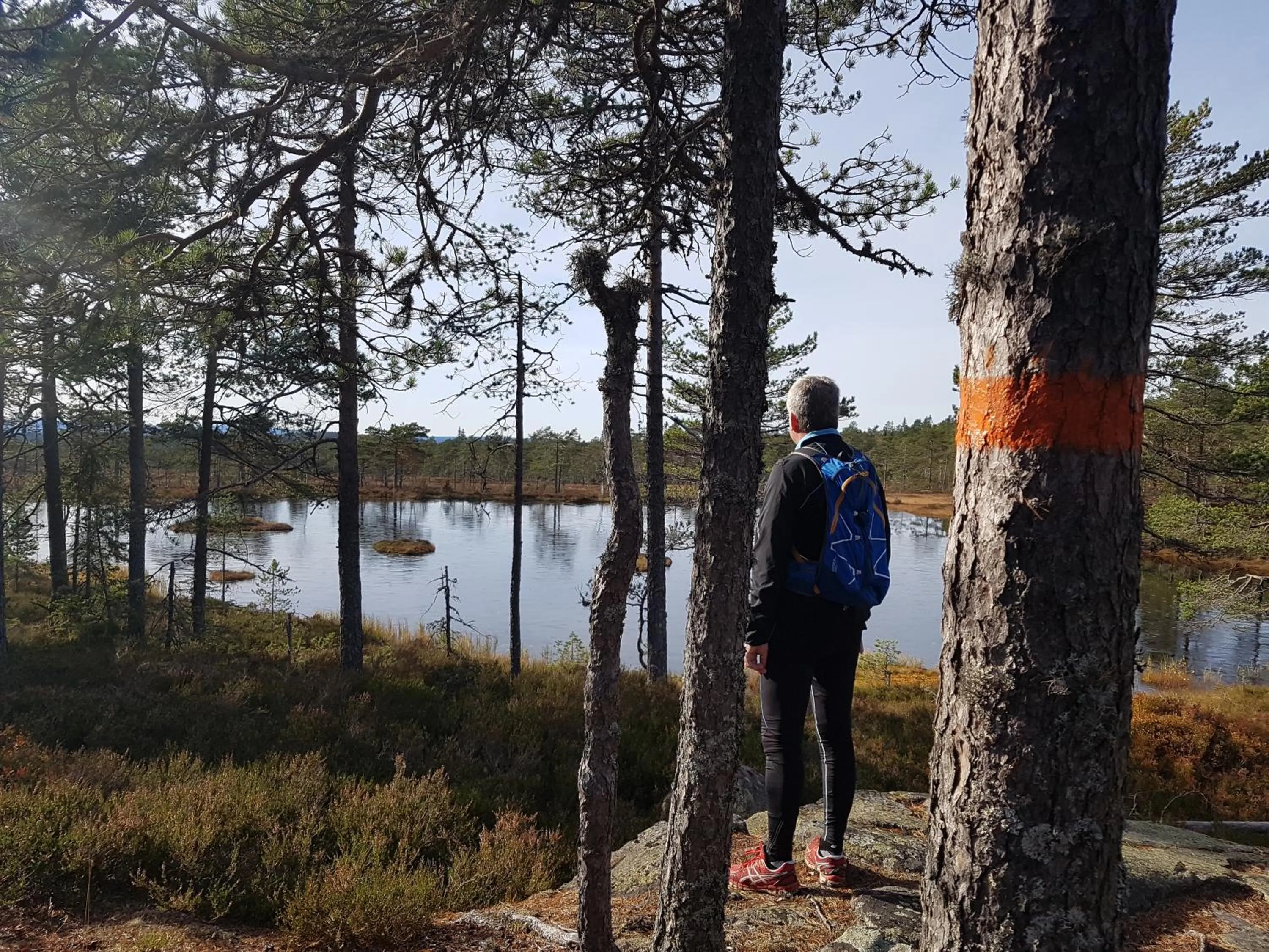 Hiking in Ulvsby Herrgård