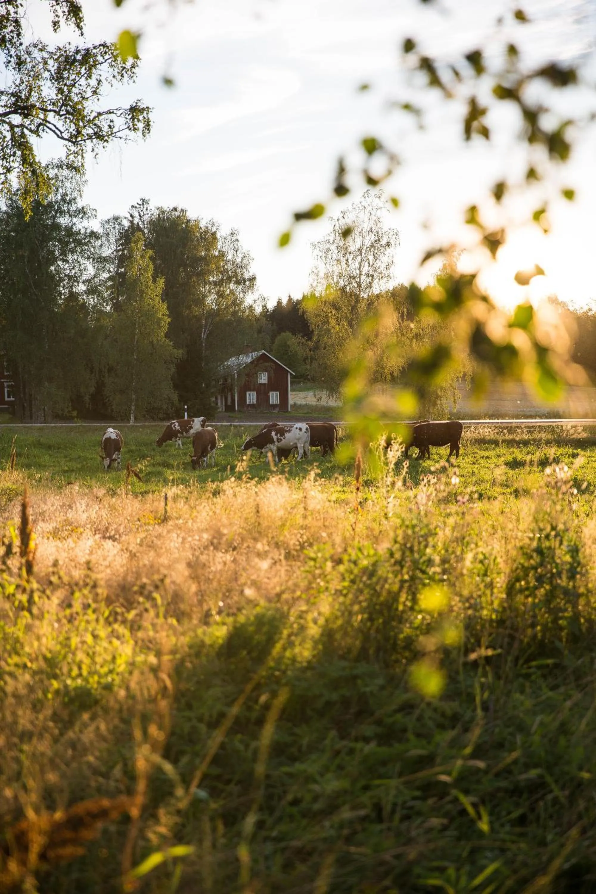 Garden in Ulvsby Herrgård