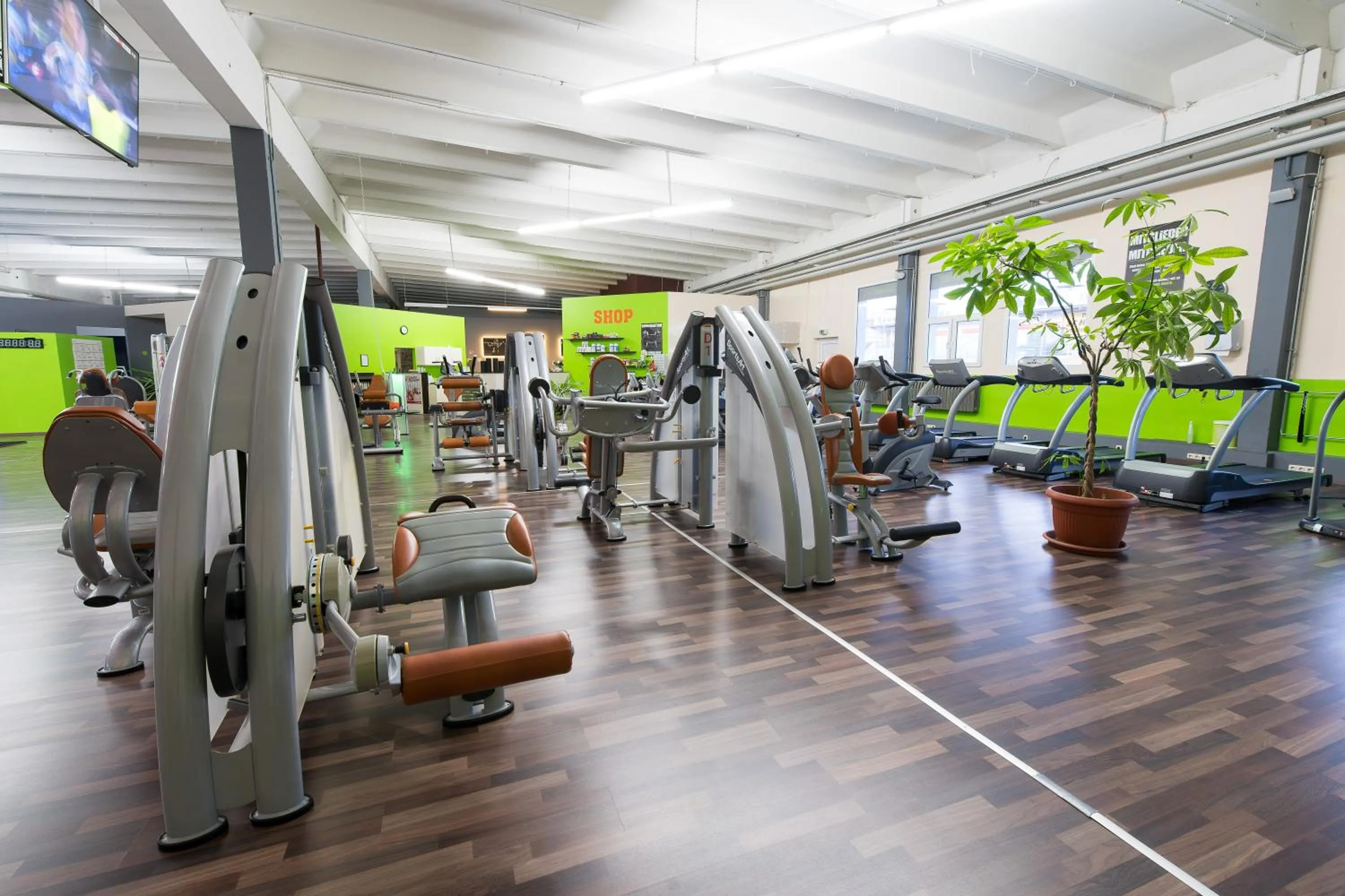 Fitness centre/facilities in Rosen-Hotel