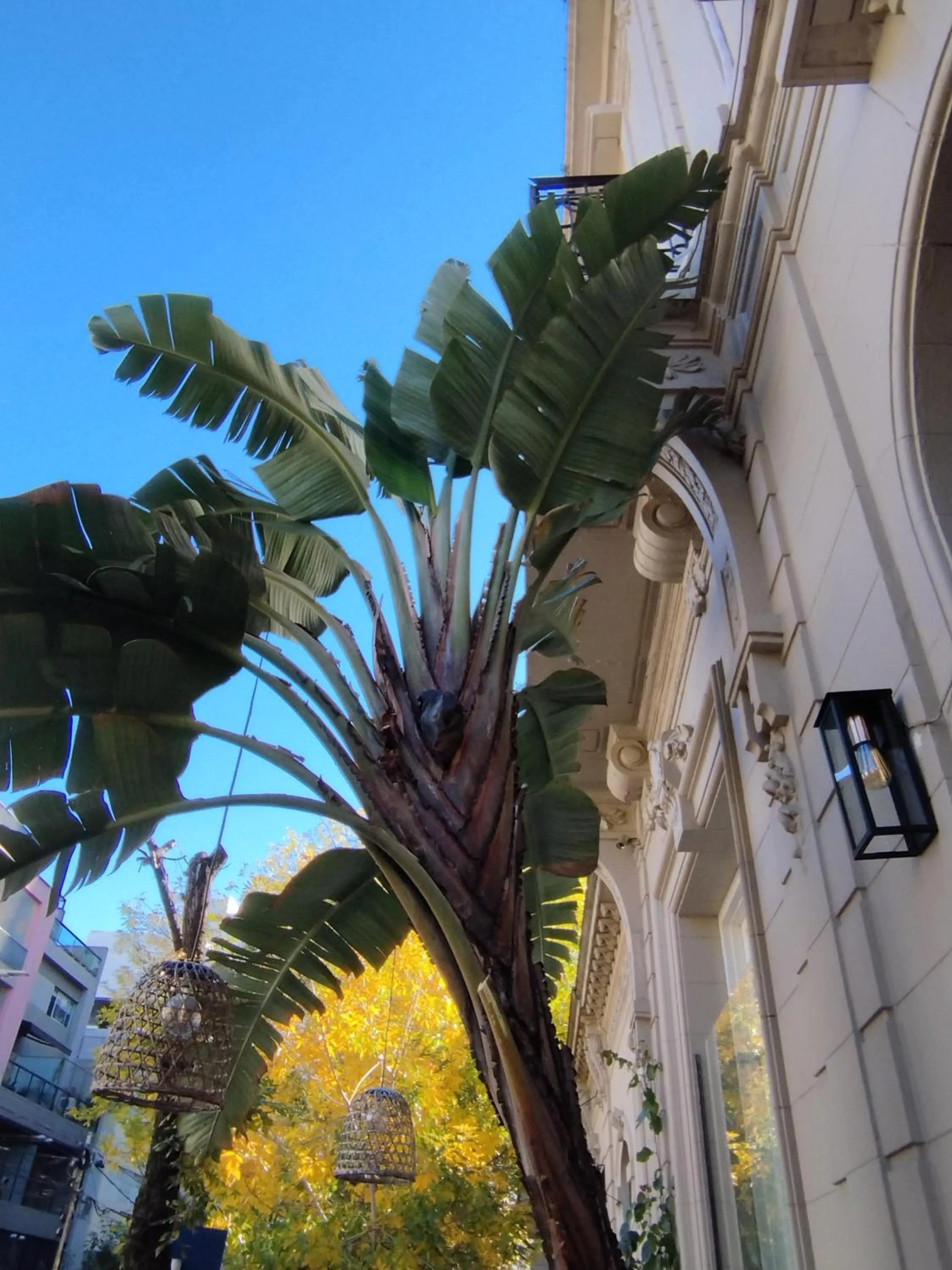 Facade/entrance in Hotel Costa Rica