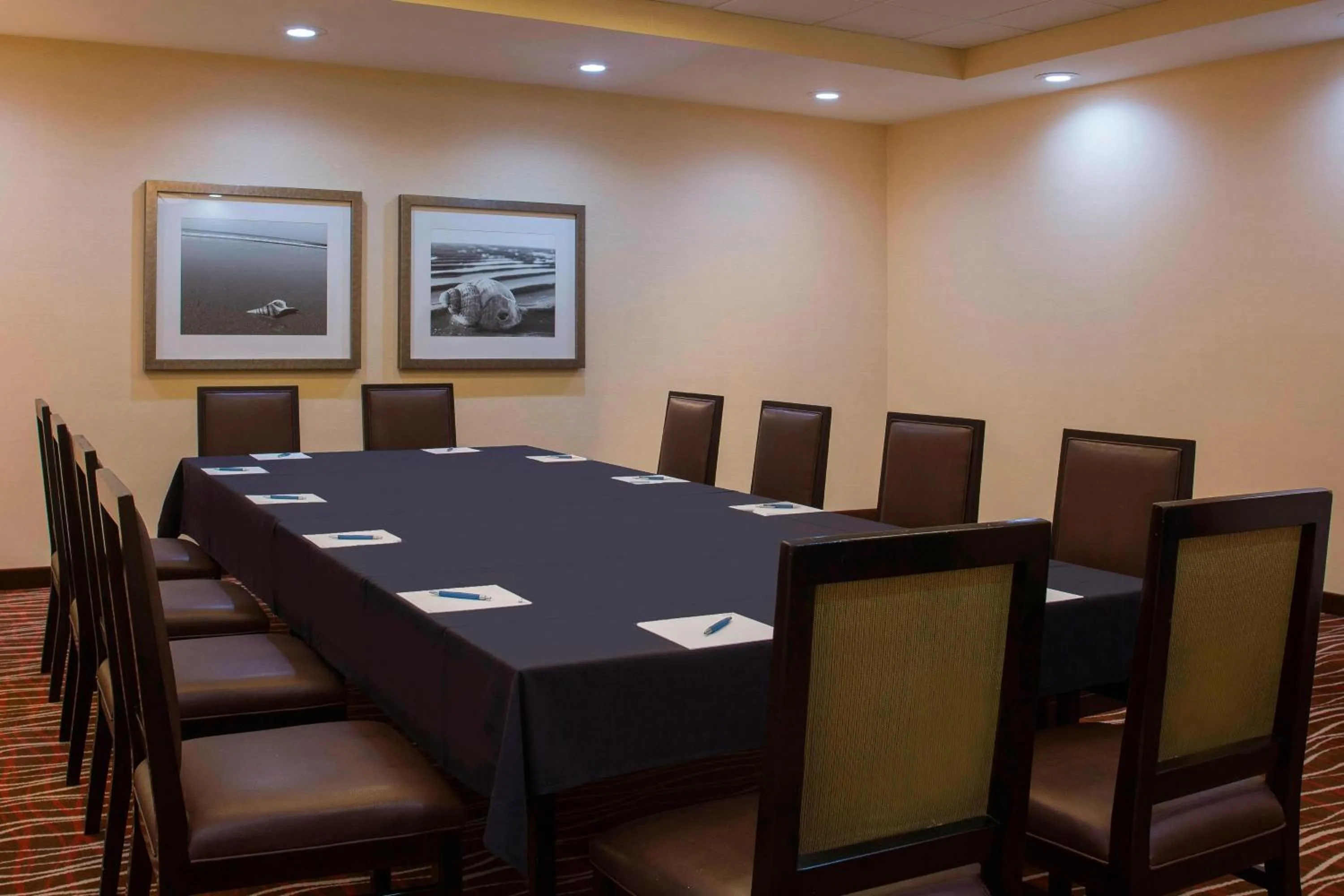 Beach in Four Points by Sheraton Suites Tampa Airport Westshore