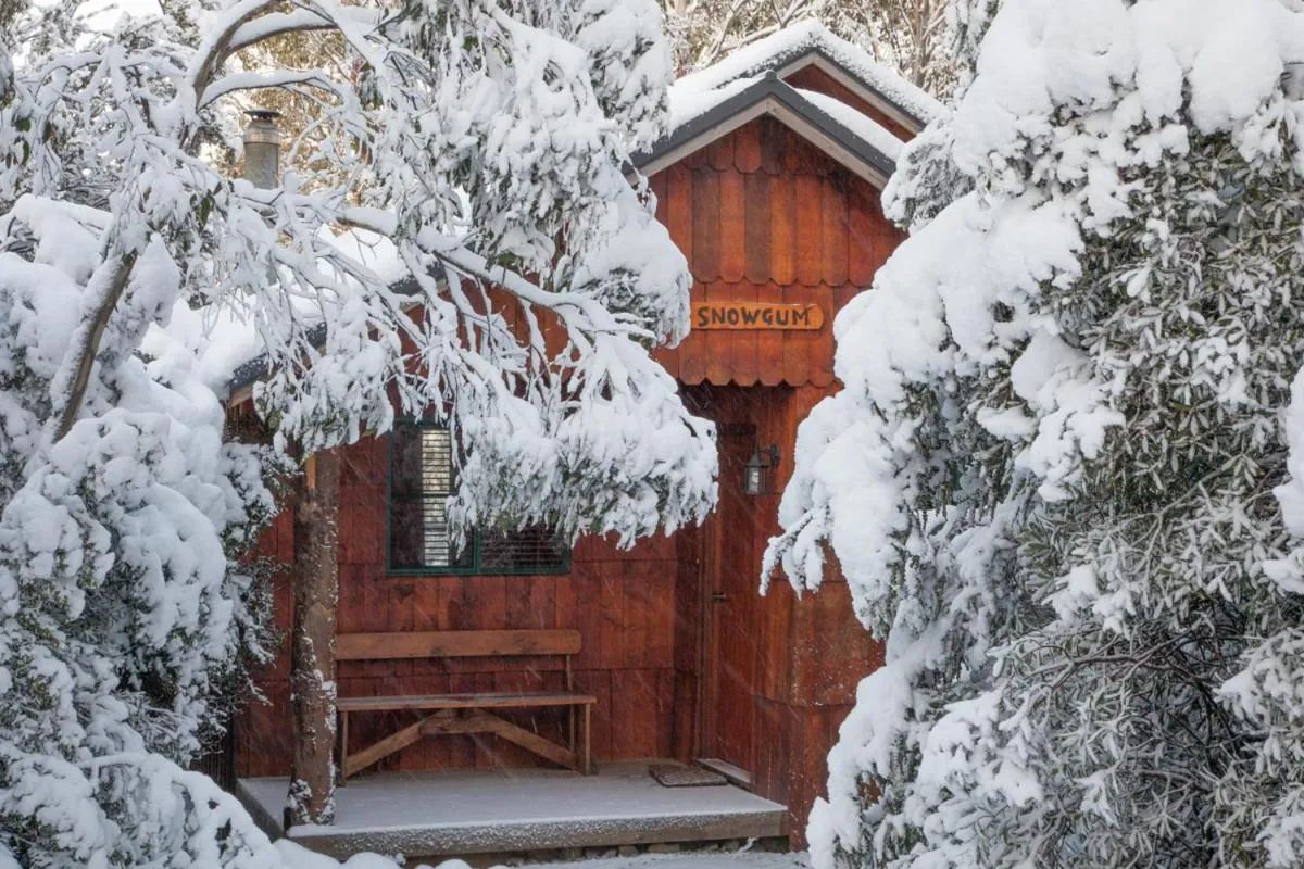 Property building in Cradle Highlander