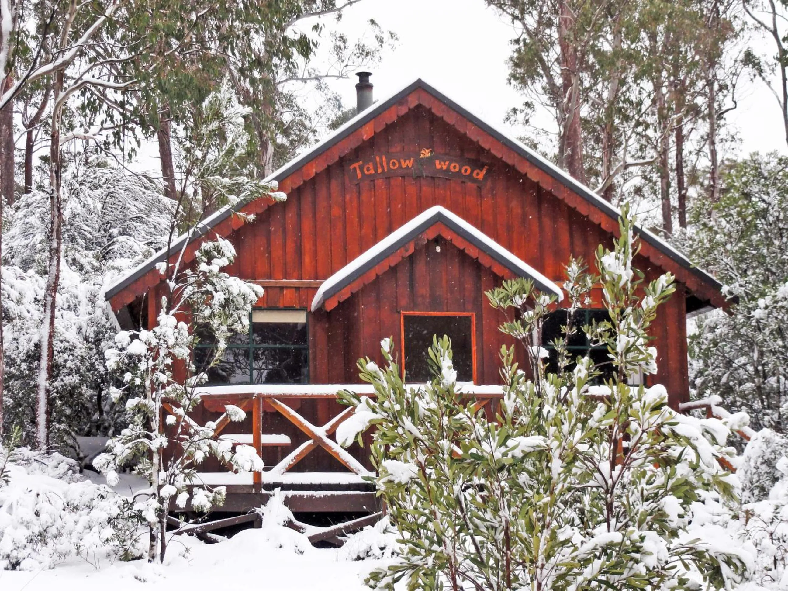 Winter in Cradle Highlander