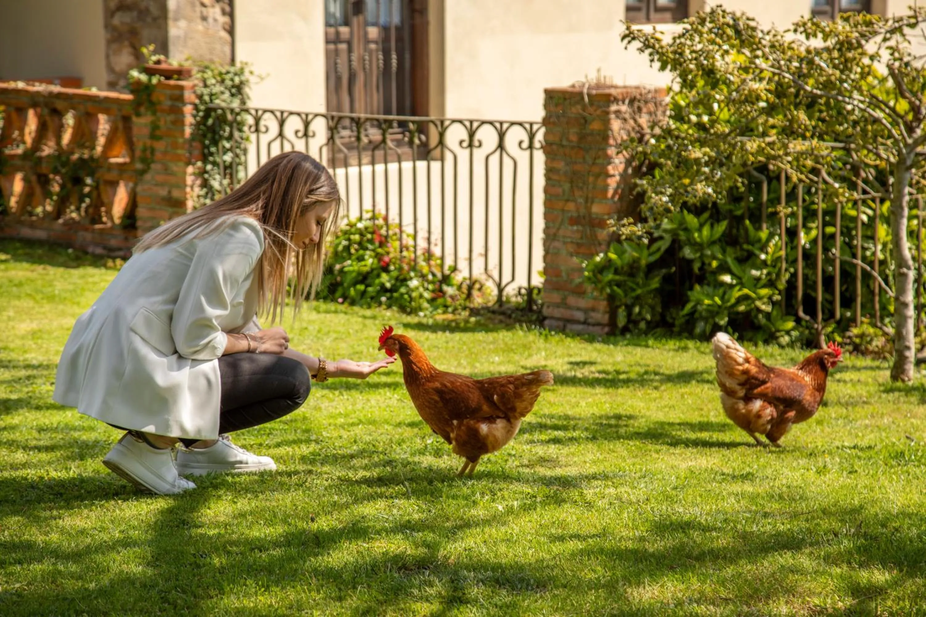 Garden in La Casona de Hermosa