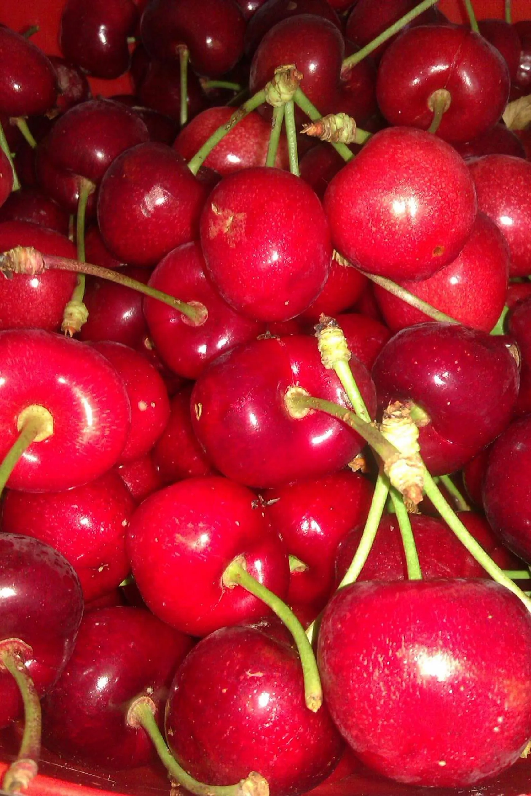 Activities in Trulli la casa di Rosa