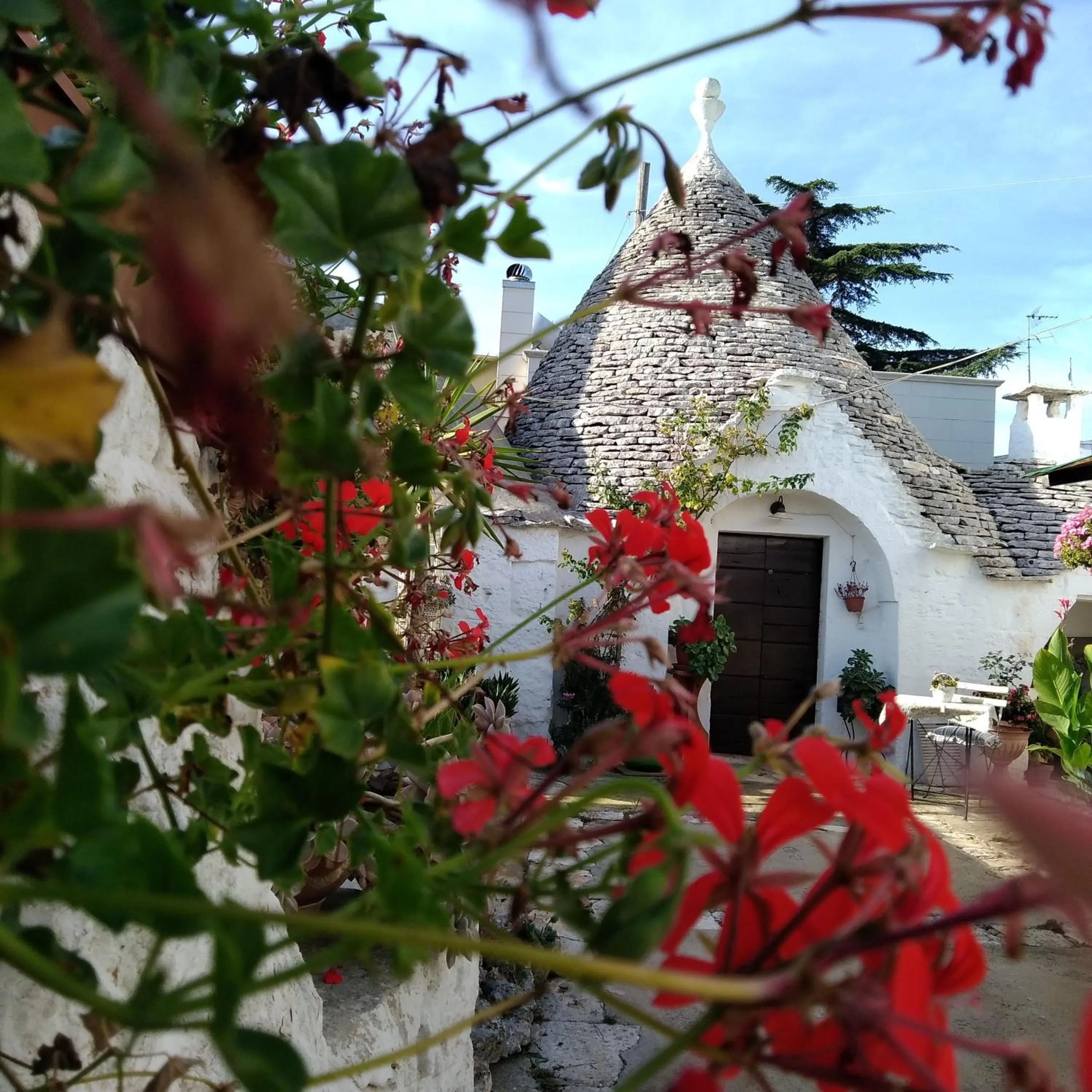 Garden view in Trulli la casa di Rosa