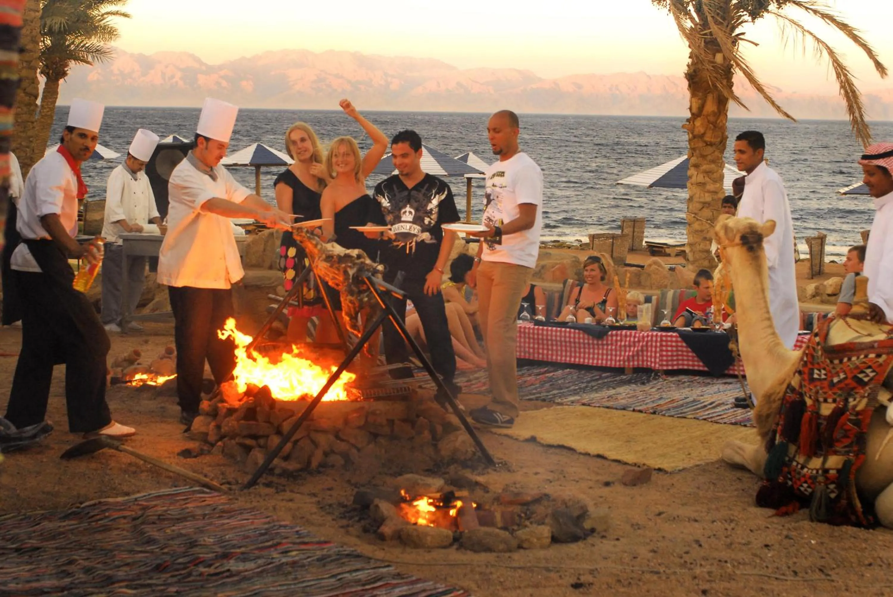Activities in Tropitel Dahab Oasis