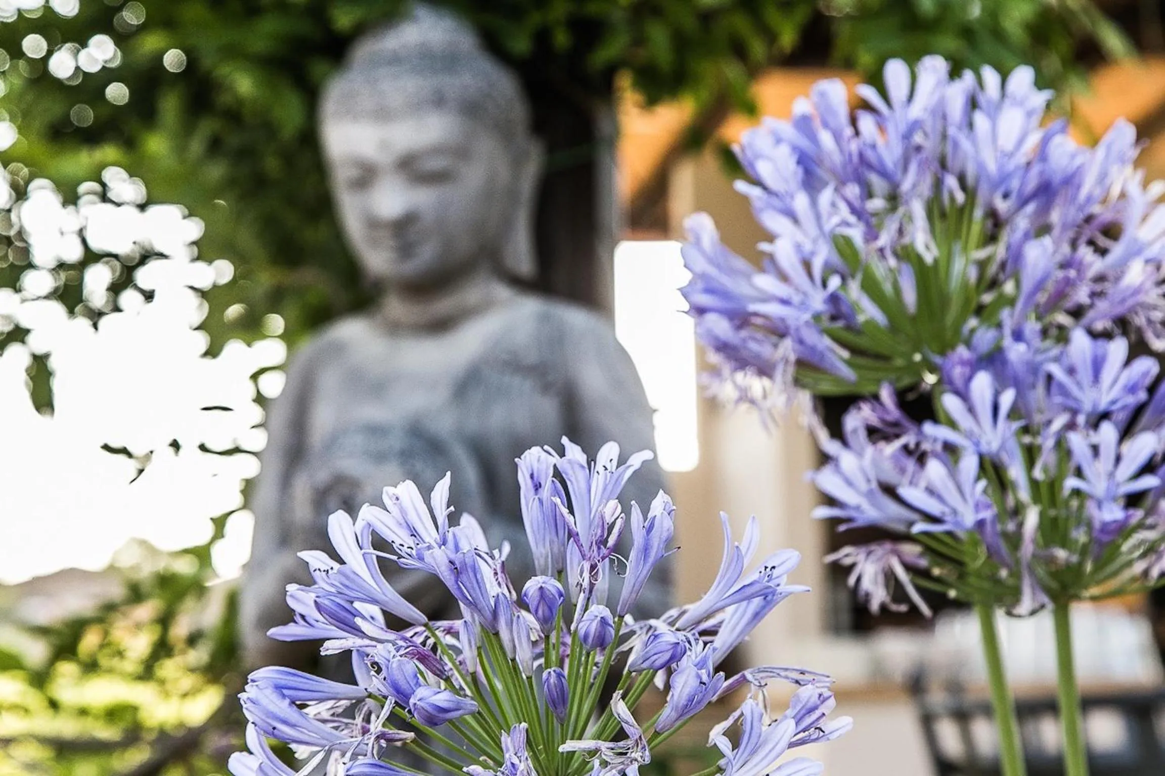 Decorative detail in Locanda Le Piazze