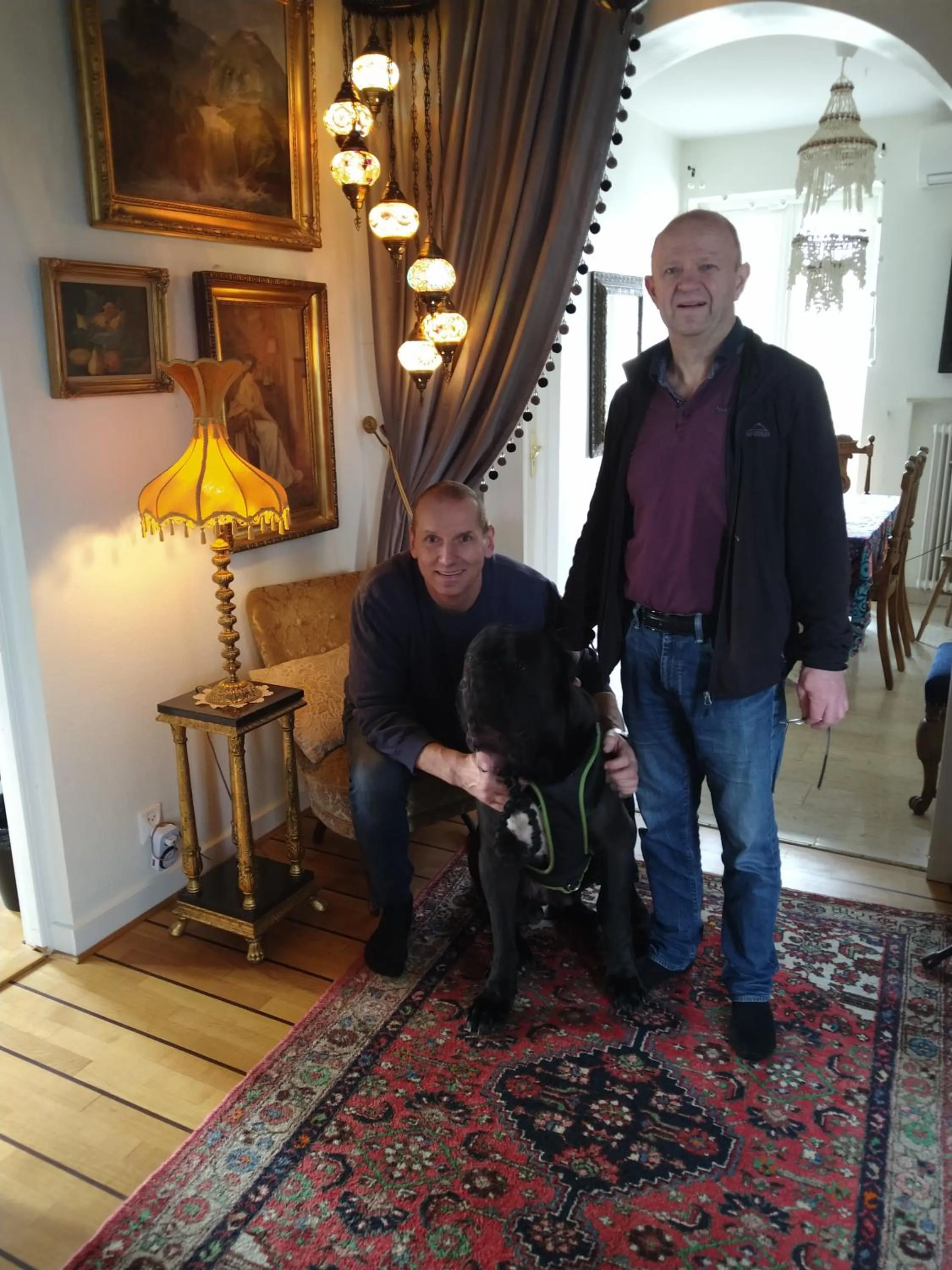 Pets in Villa Signedal Hostel