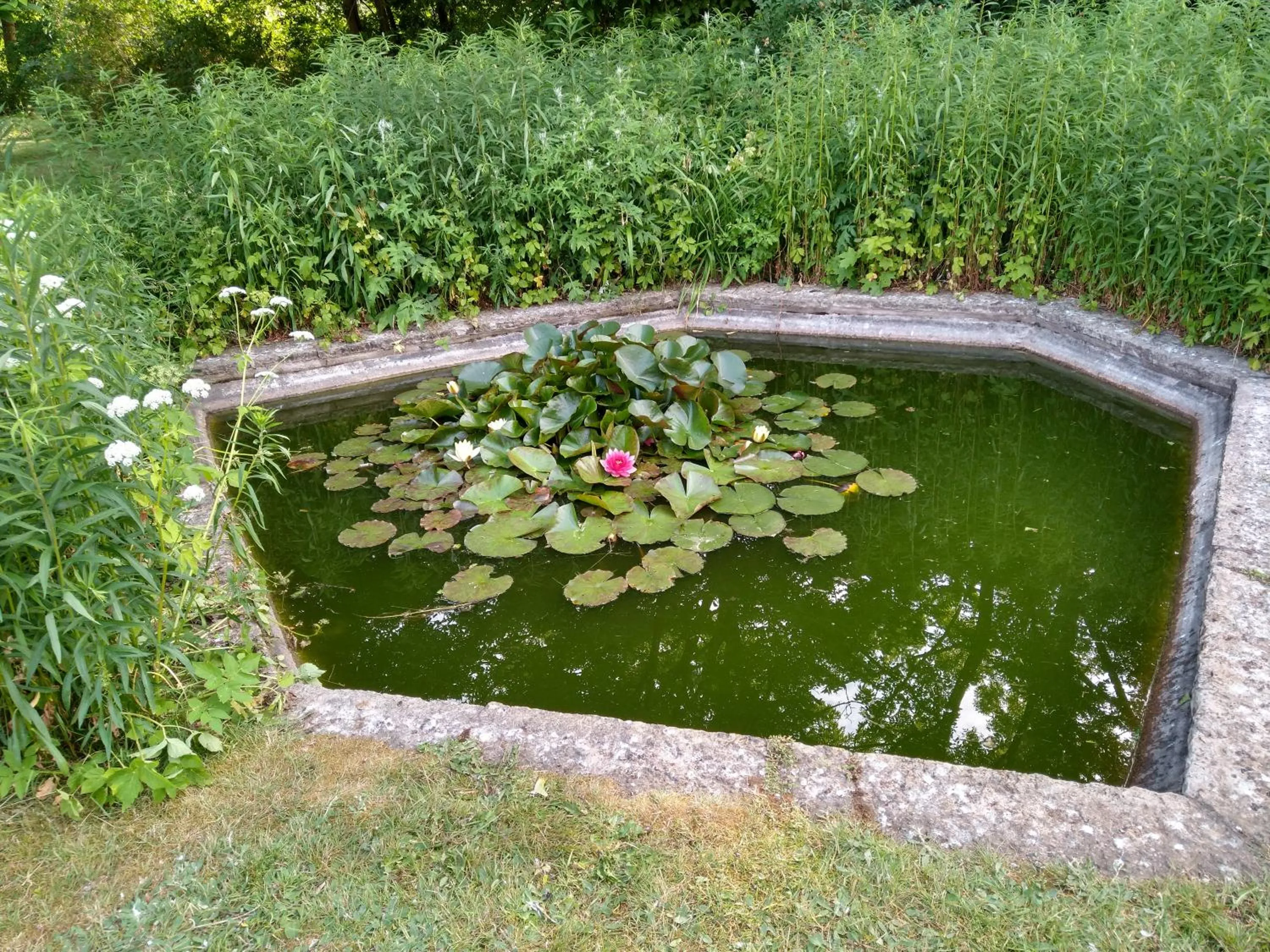 Garden view in Villa Signedal Hostel
