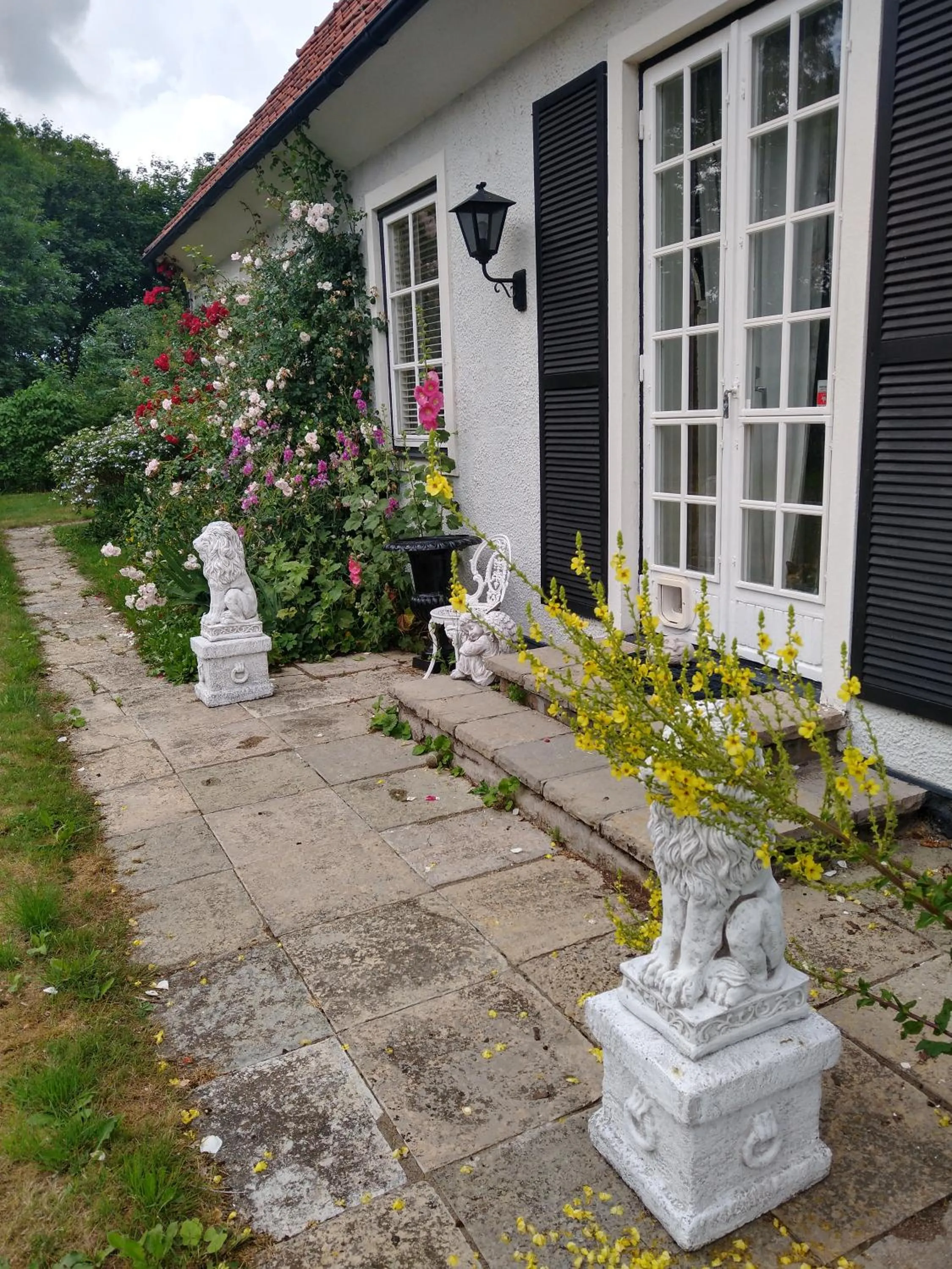 Property building in Villa Signedal Hostel