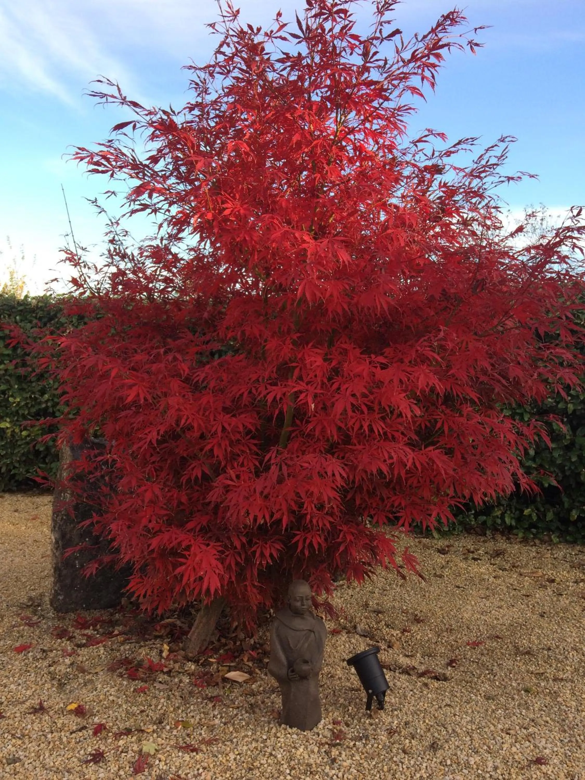 Garden in Le Couvent