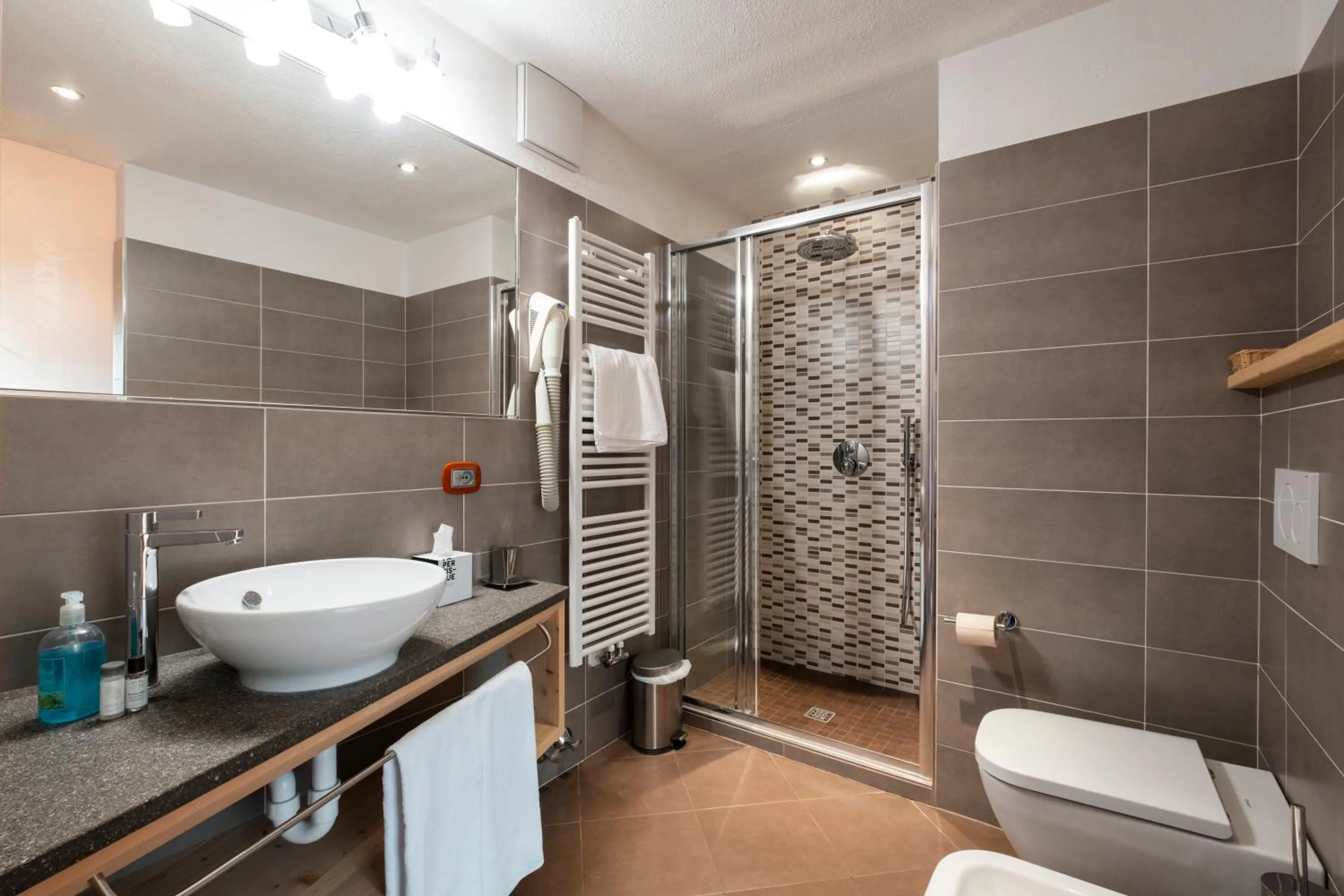 Bathroom in Berg Hotel Latemar Spitze