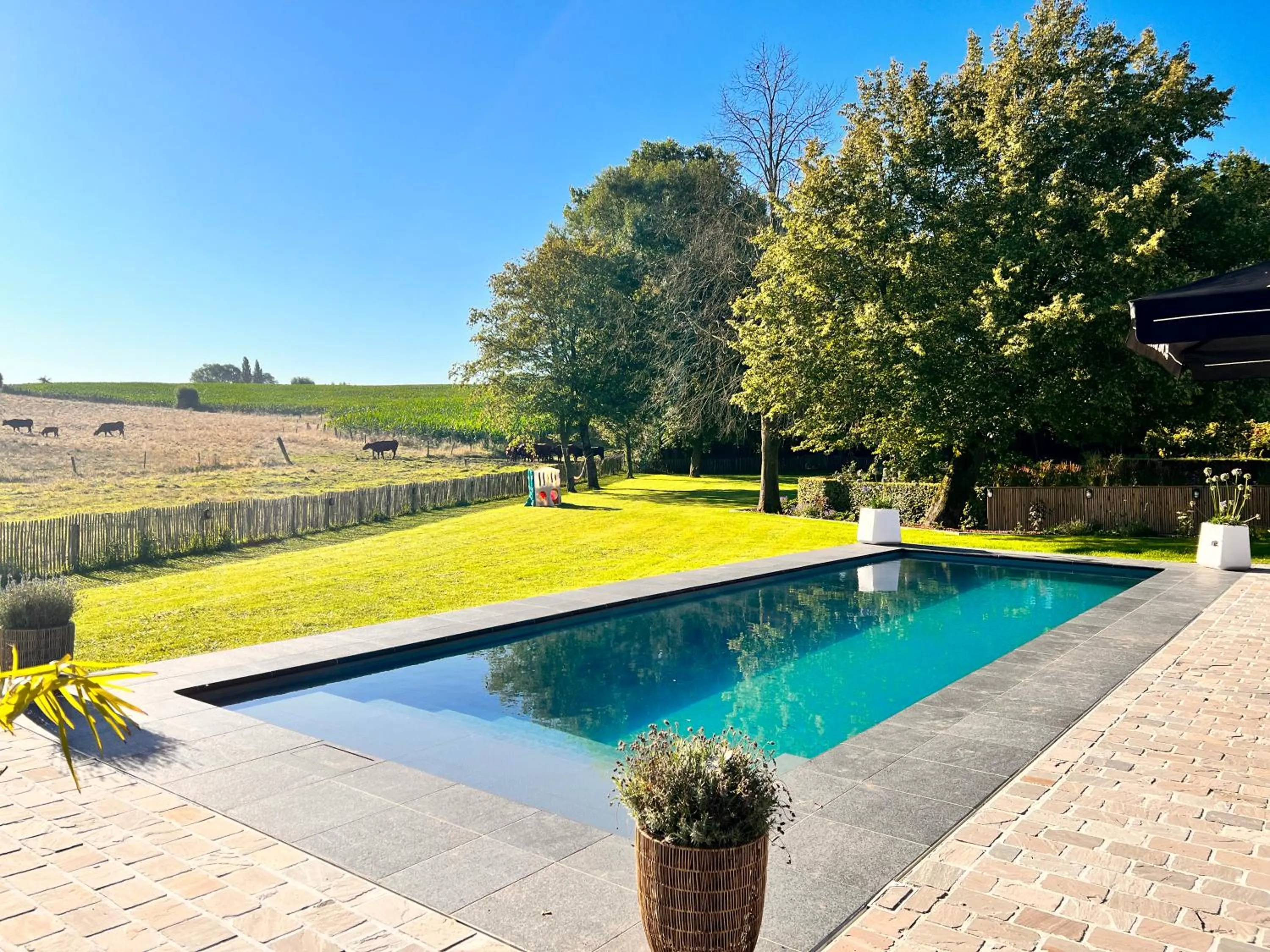 Swimming pool in Sparhof