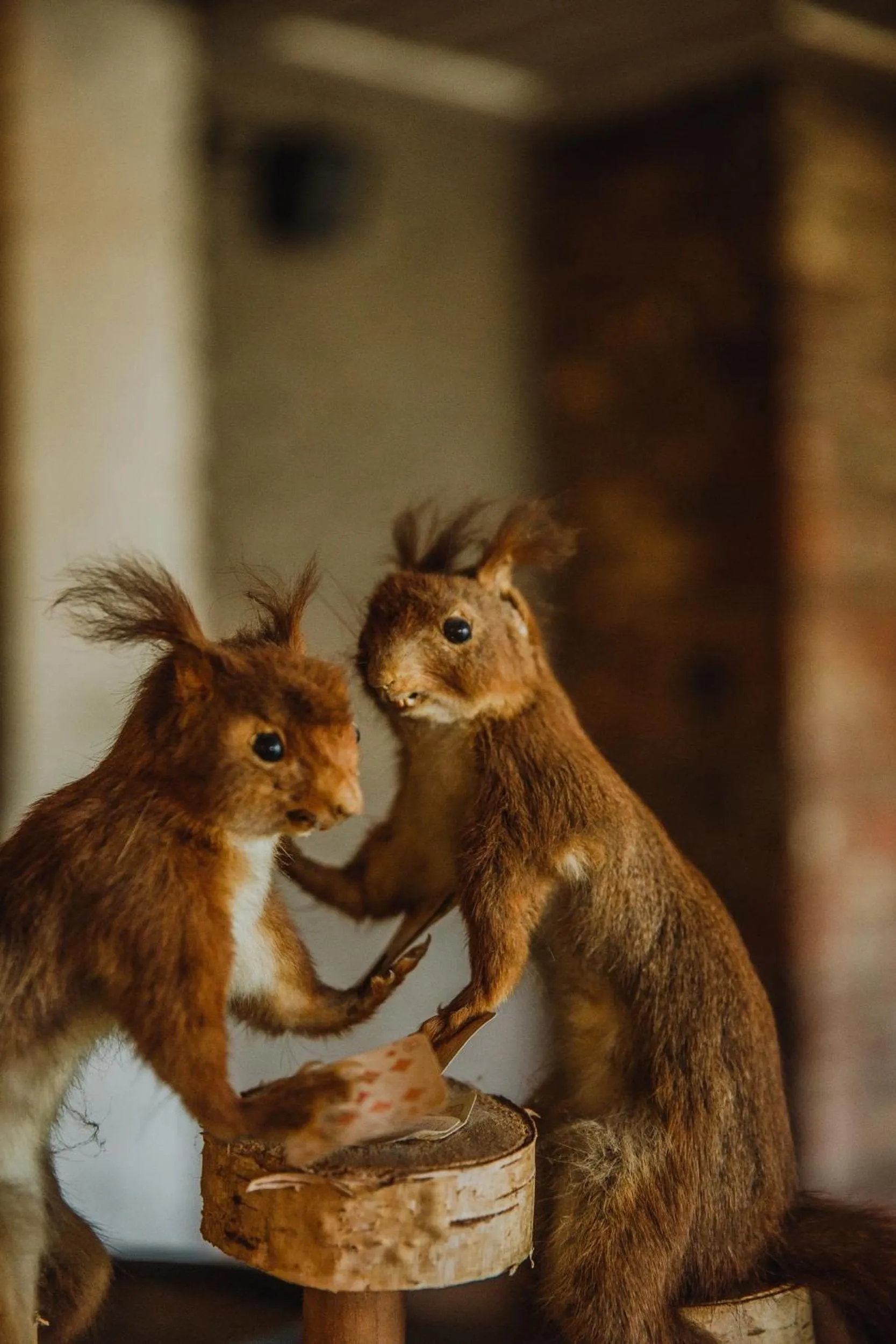 Dining area in Sparhof