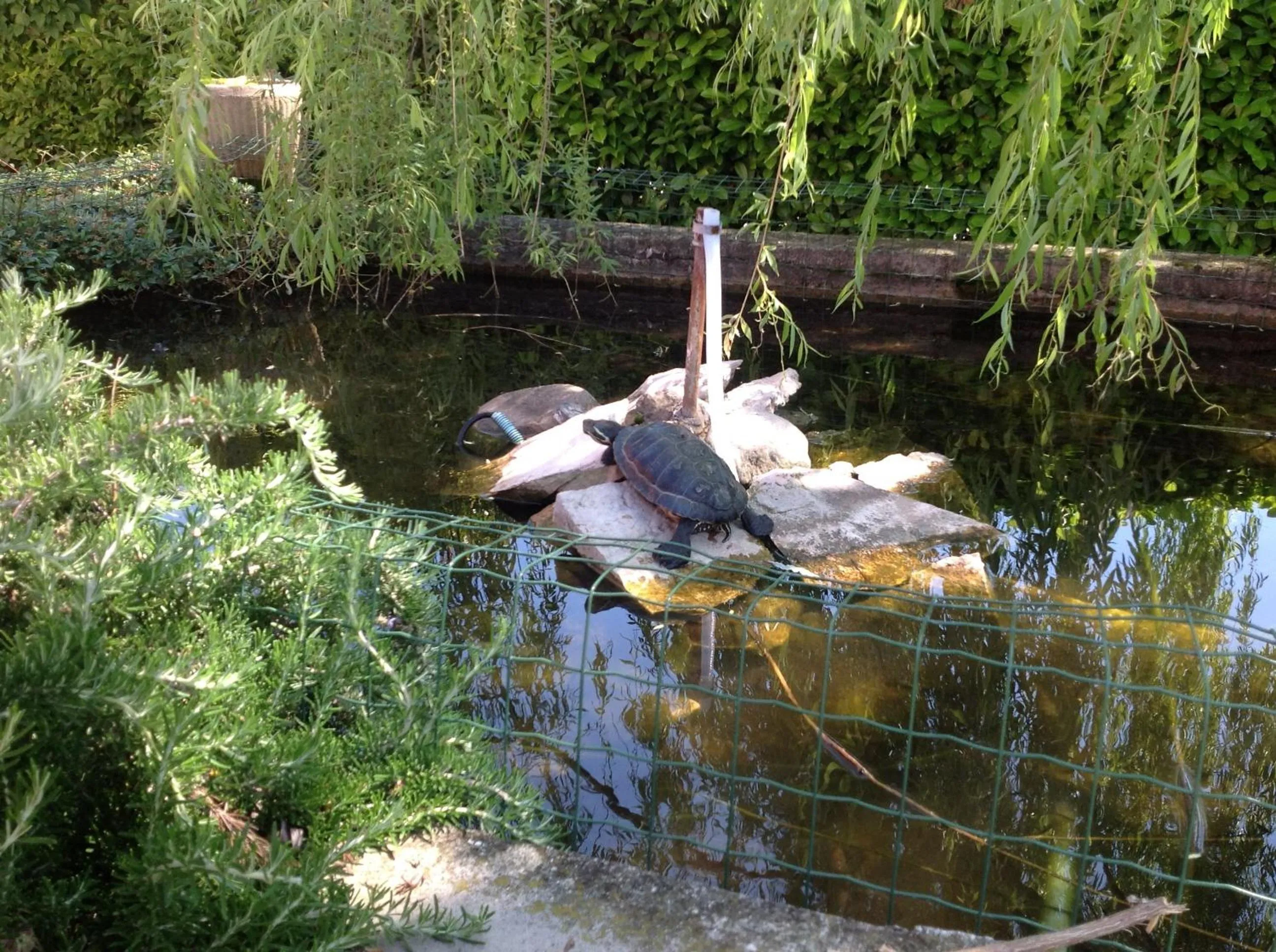 Other in Hotel Villa Ca' Nova ***S