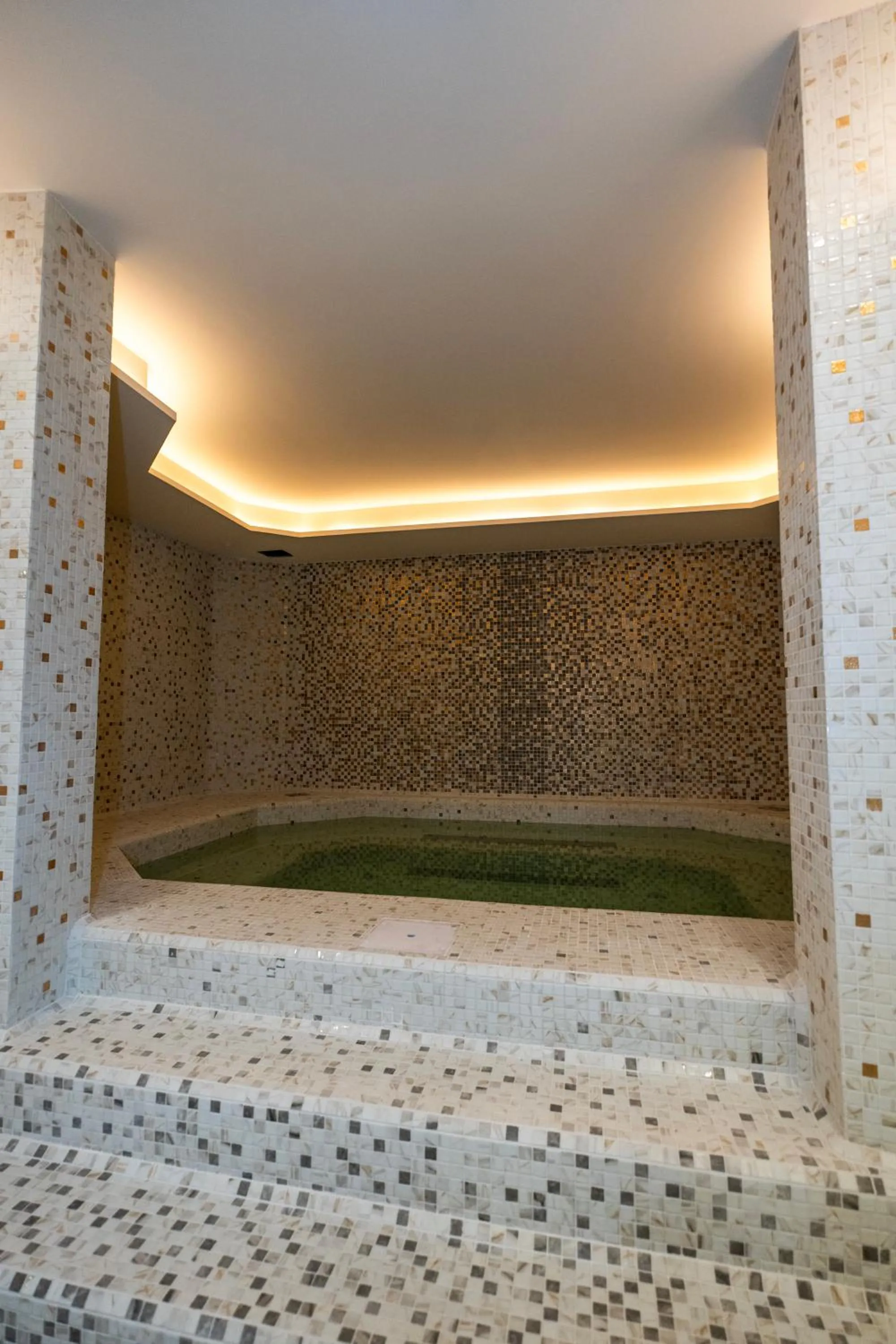 Spa and wellness centre/facilities in Zepter Spa Wellness Hotel & Zepterme member of Zepter Hotels