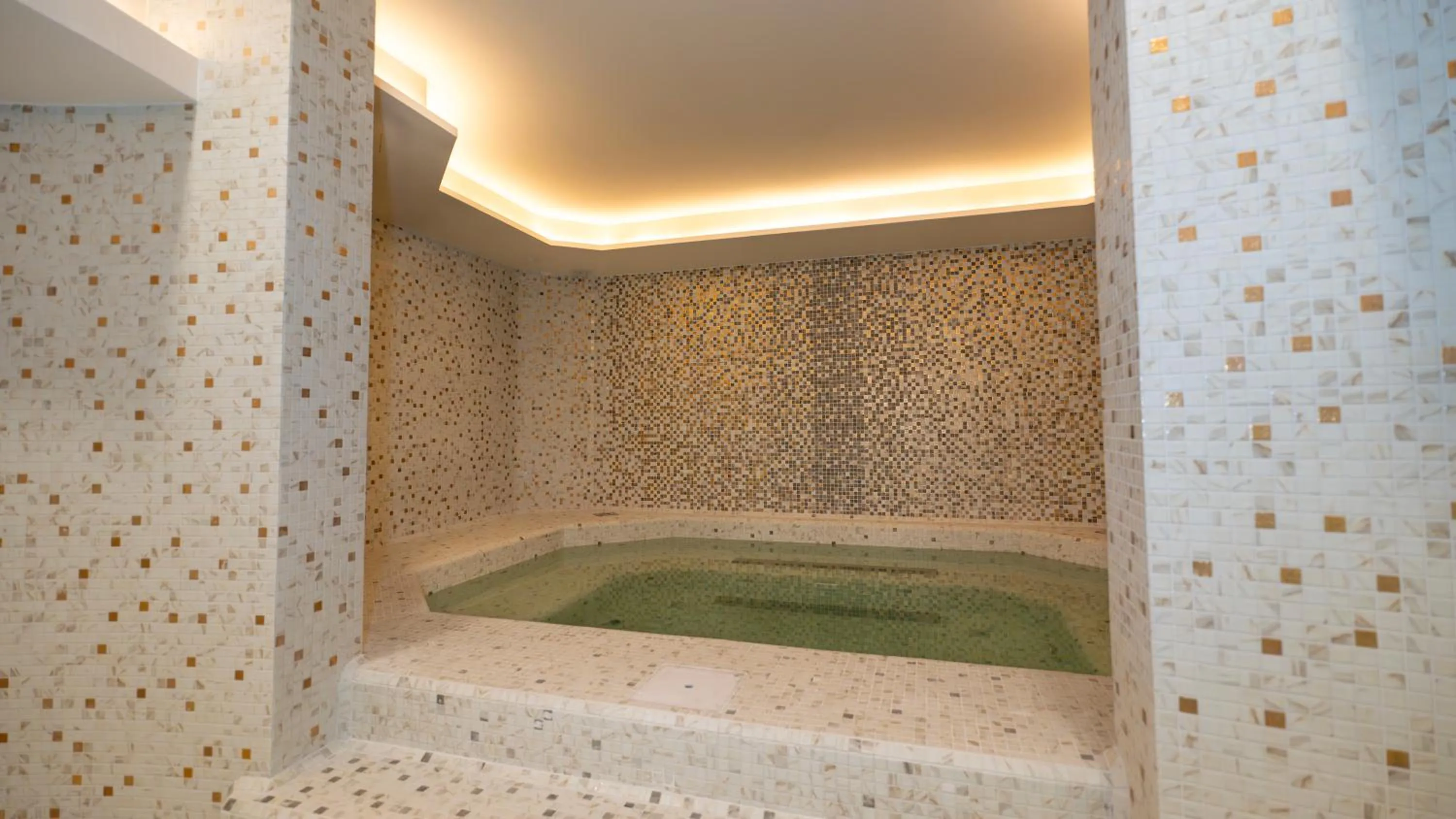 Spa and wellness centre/facilities in Zepter Spa Wellness Hotel & Zepterme member of Zepter Hotels