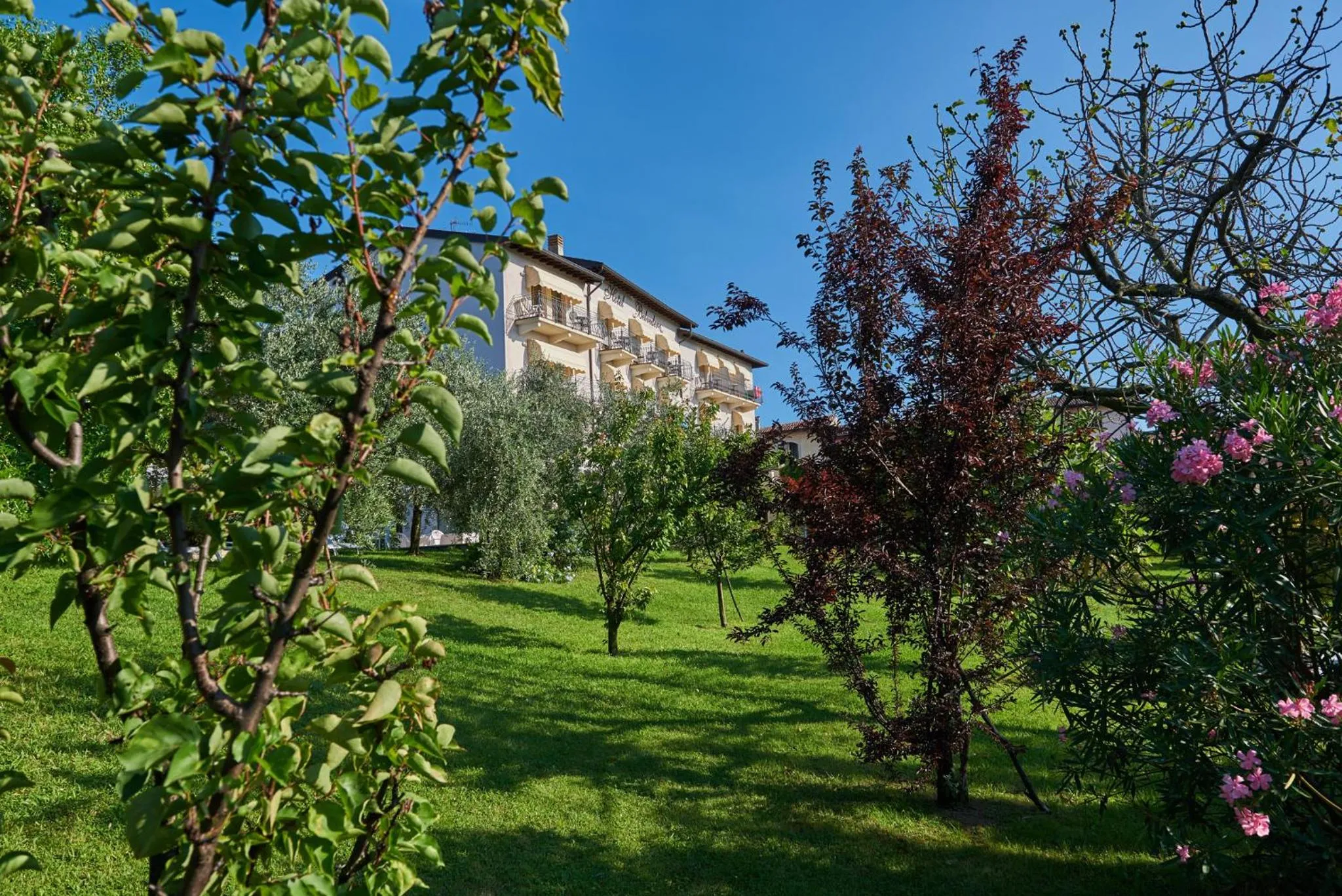 Hotel Belvedere