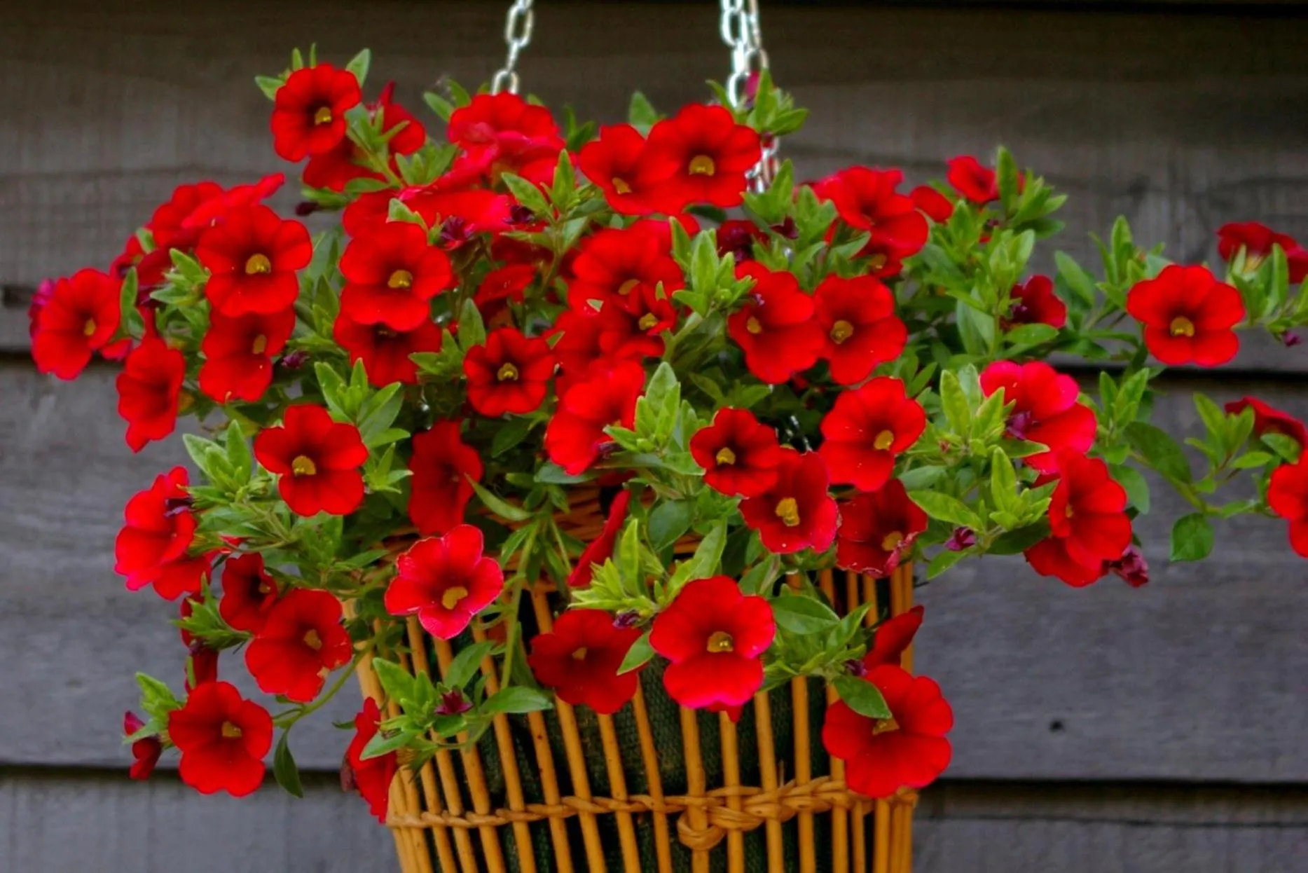 Decorative detail in Le Colombier Bretagne