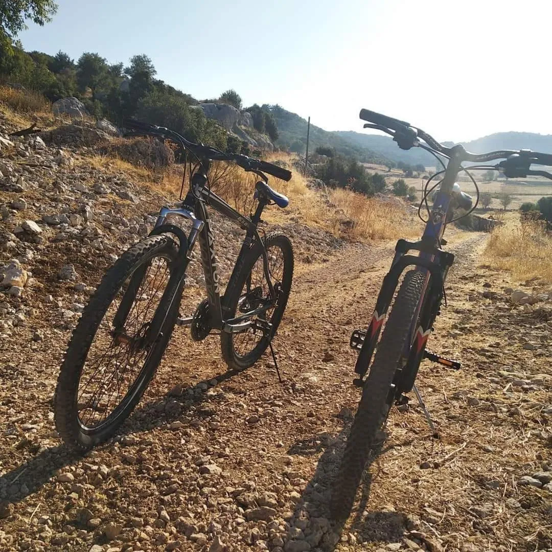 Activities in Likya SUP Apart